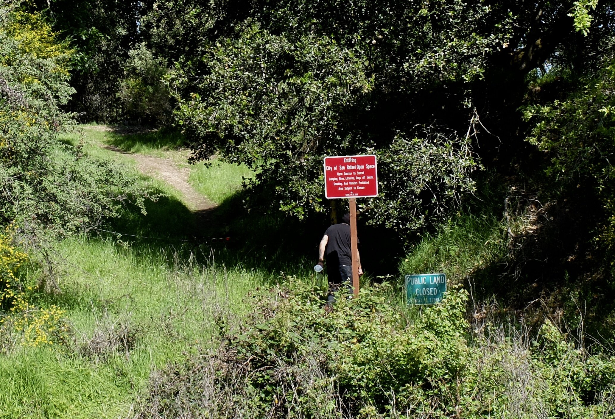 One of the denizens of a homeless encampment in there, on "D" Street.