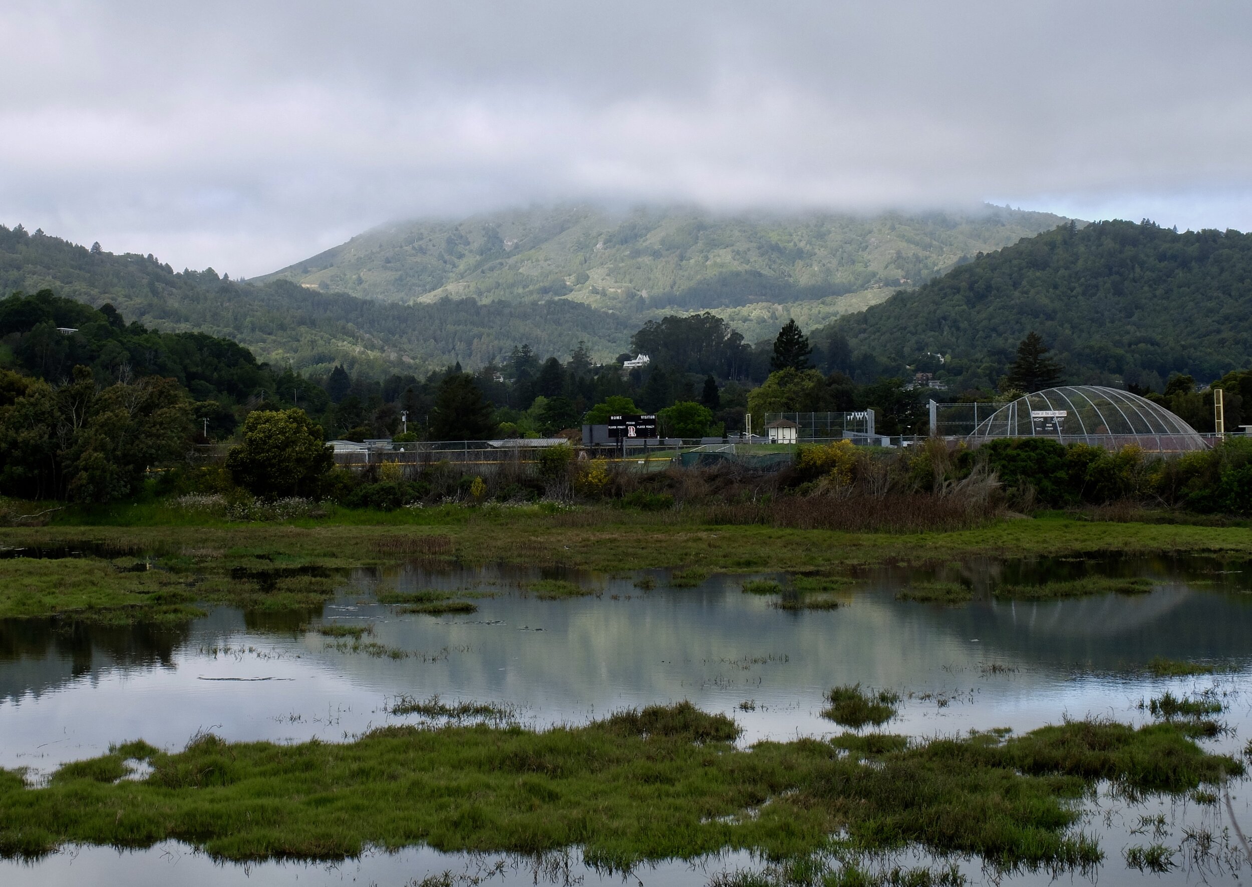 A Corte Madera we had never before experienced.