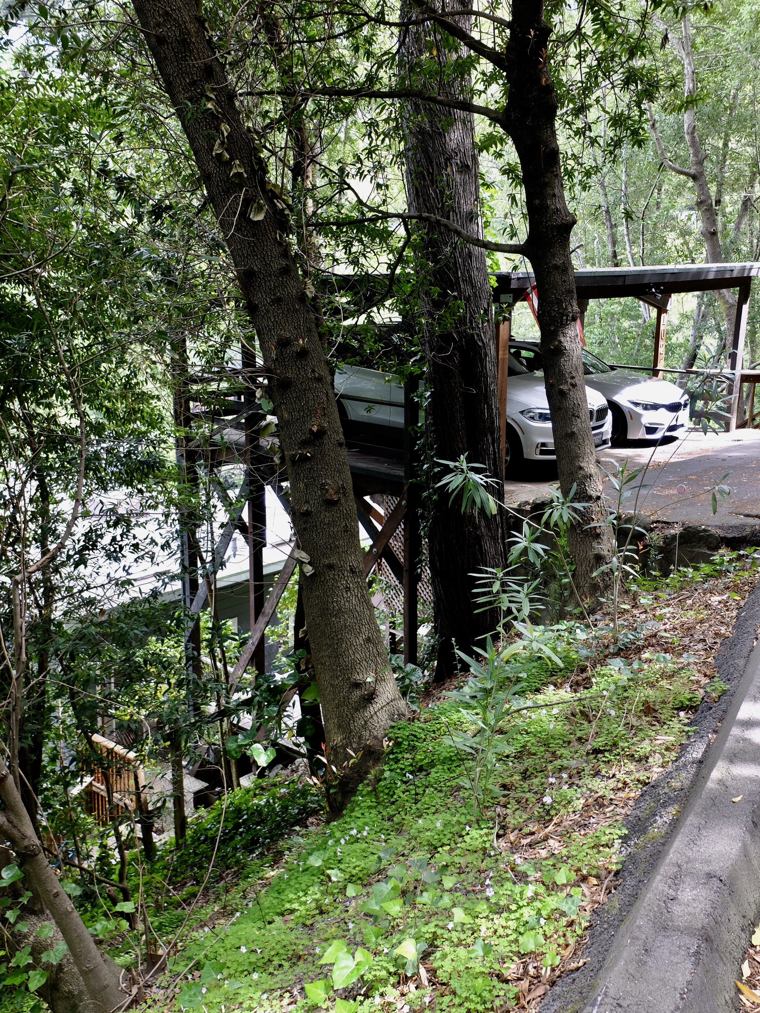 Imagine keeping your cars on that deck.