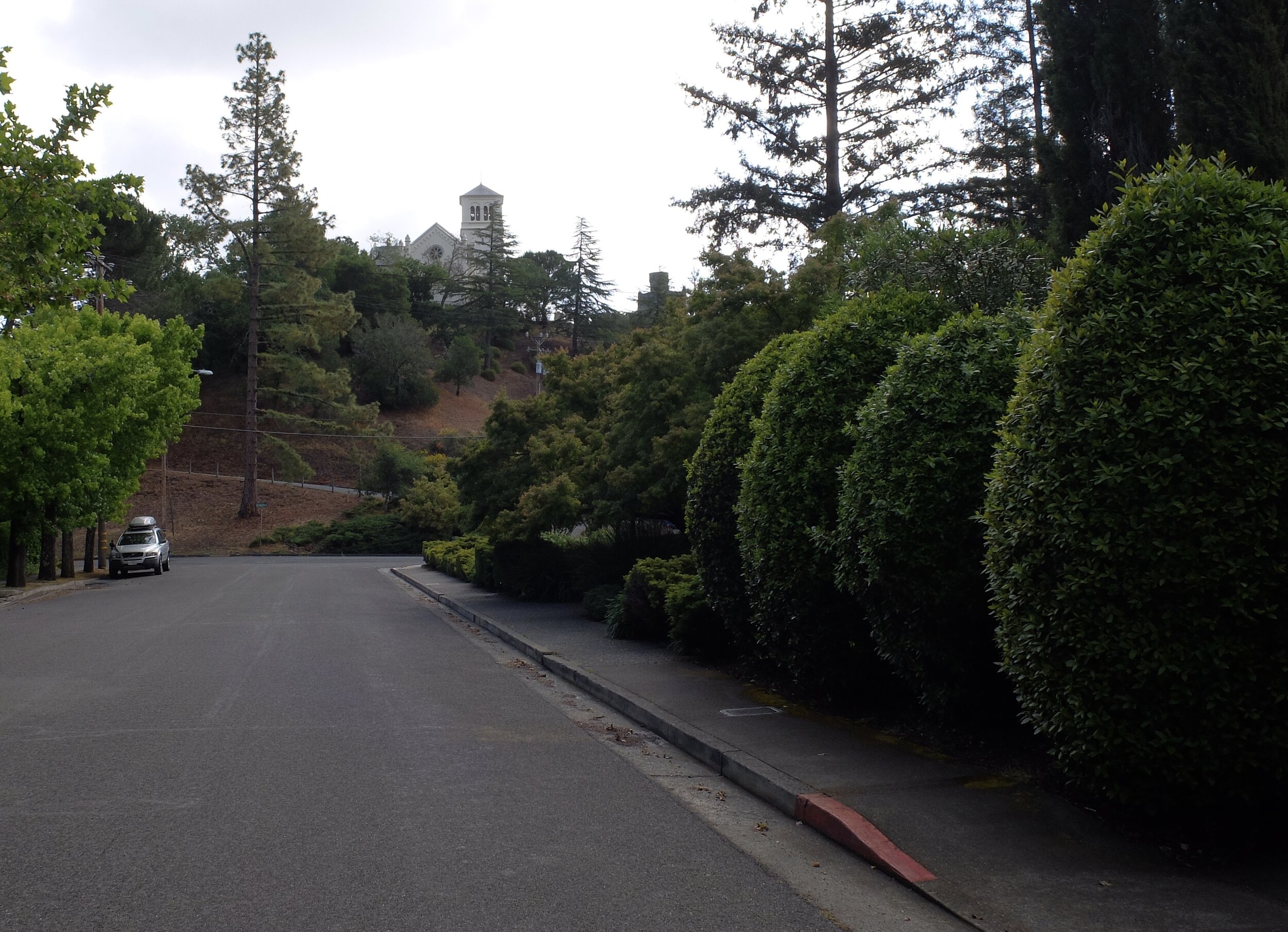 A walk around San Anselmo.