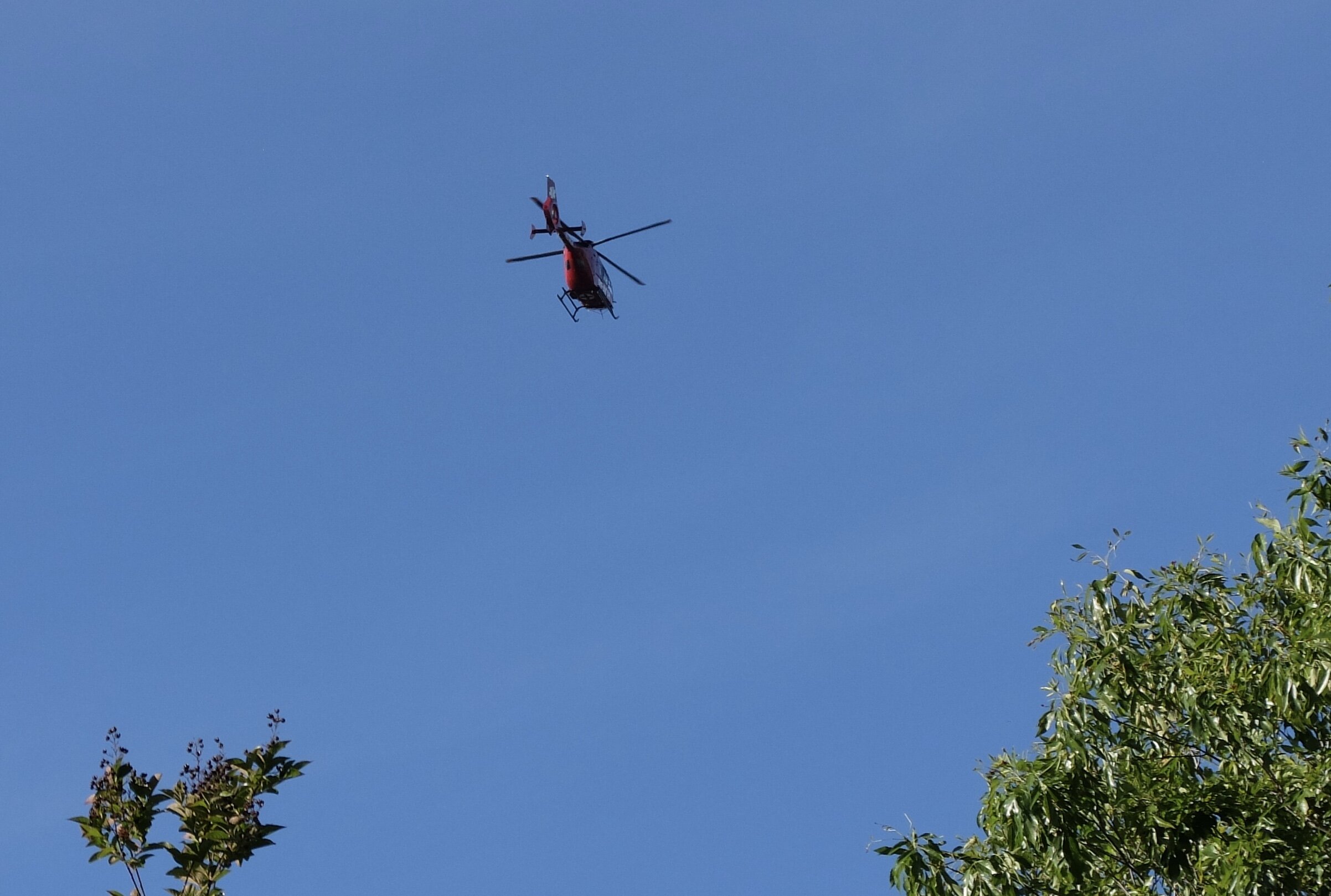 Low flying helicopters, enroute to Marin General Hospital were unfortunately common for a time.  