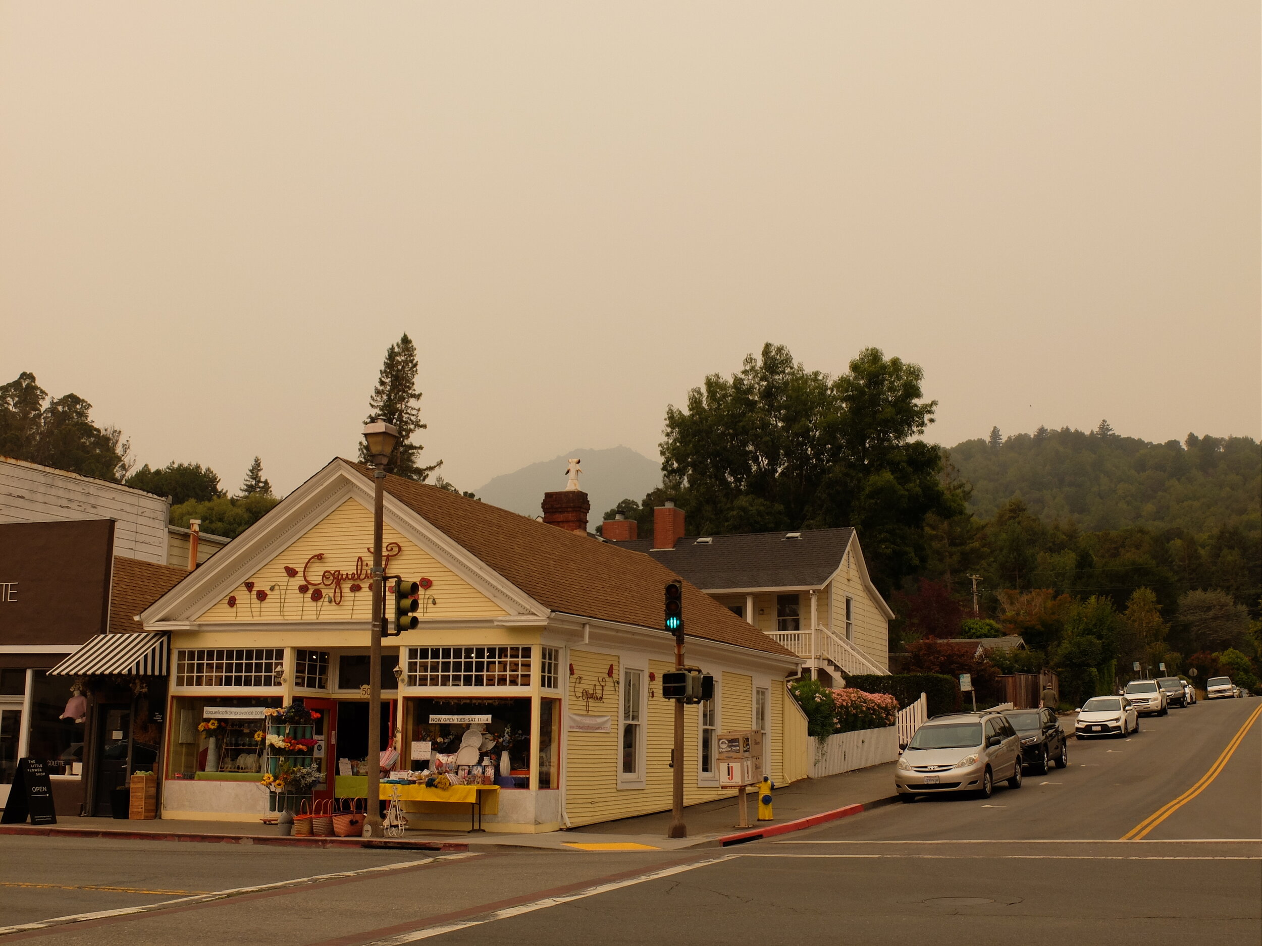 But, it kept getting worse.  Mt. Tamalpais was barely visible in this view from Larkspur. Then we awoke to see this...