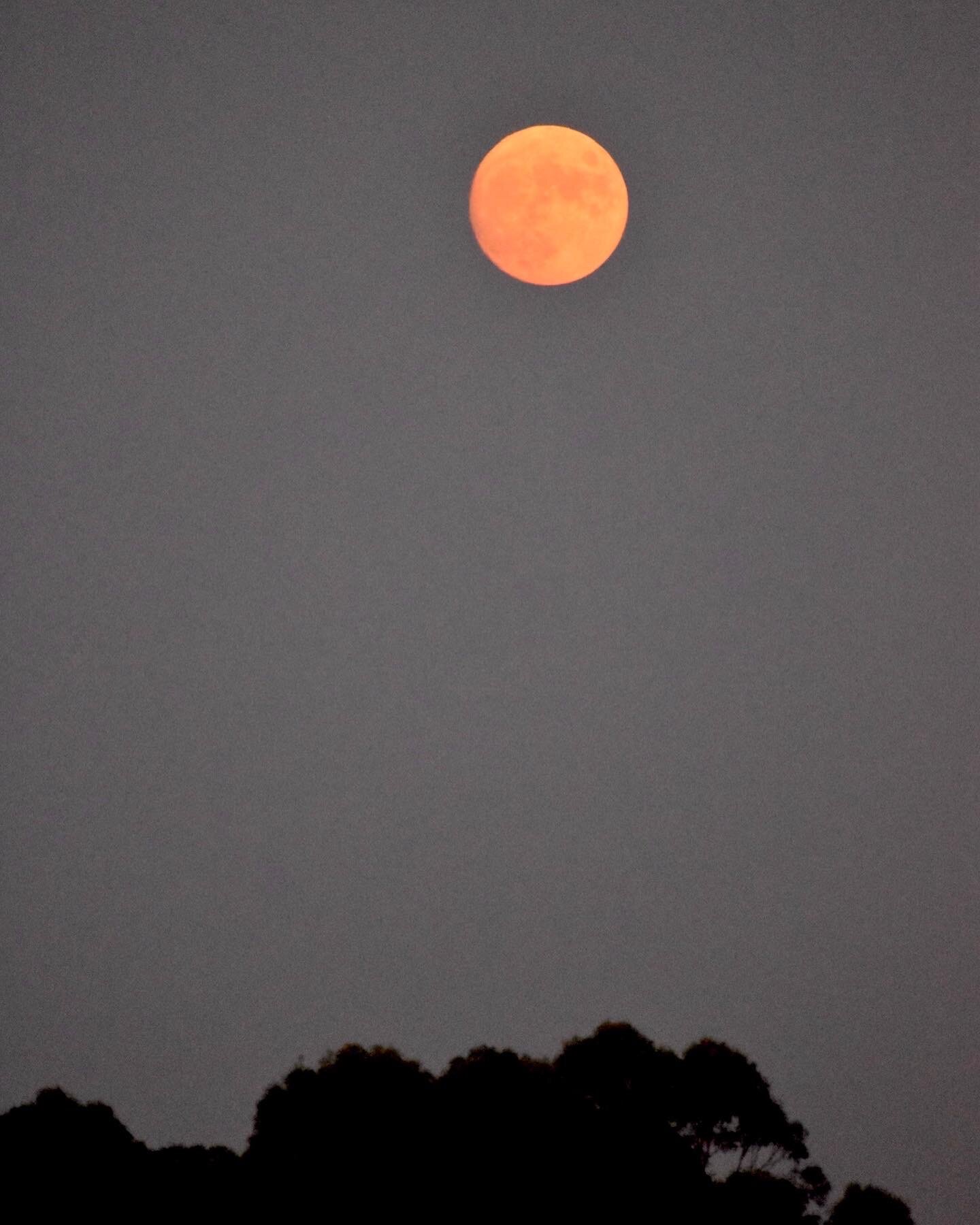 Orange full moon.  The moon captured by my friend George Osner.  You can follow him on Instagram: @gosner.