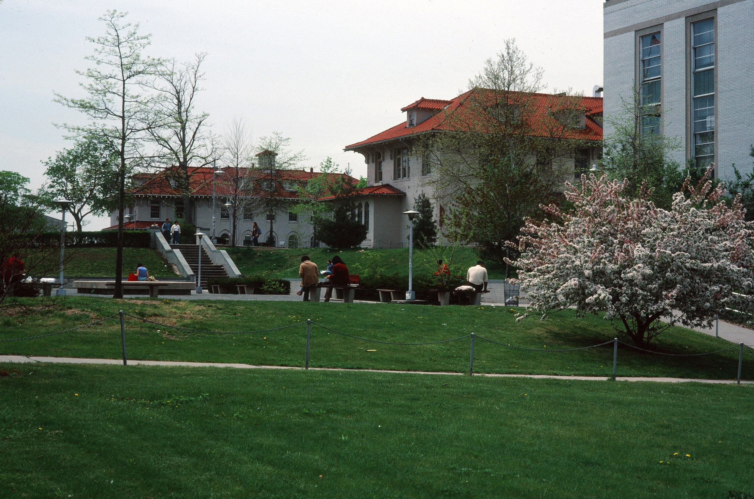  Queens College was up the block from my home, so I walked to classes. I had abandoned bicycling for a few years &amp; my dad sold the English racer. Years later when I told a Dutchman that my dad sold the bike, he was appalled that we had sold a bik