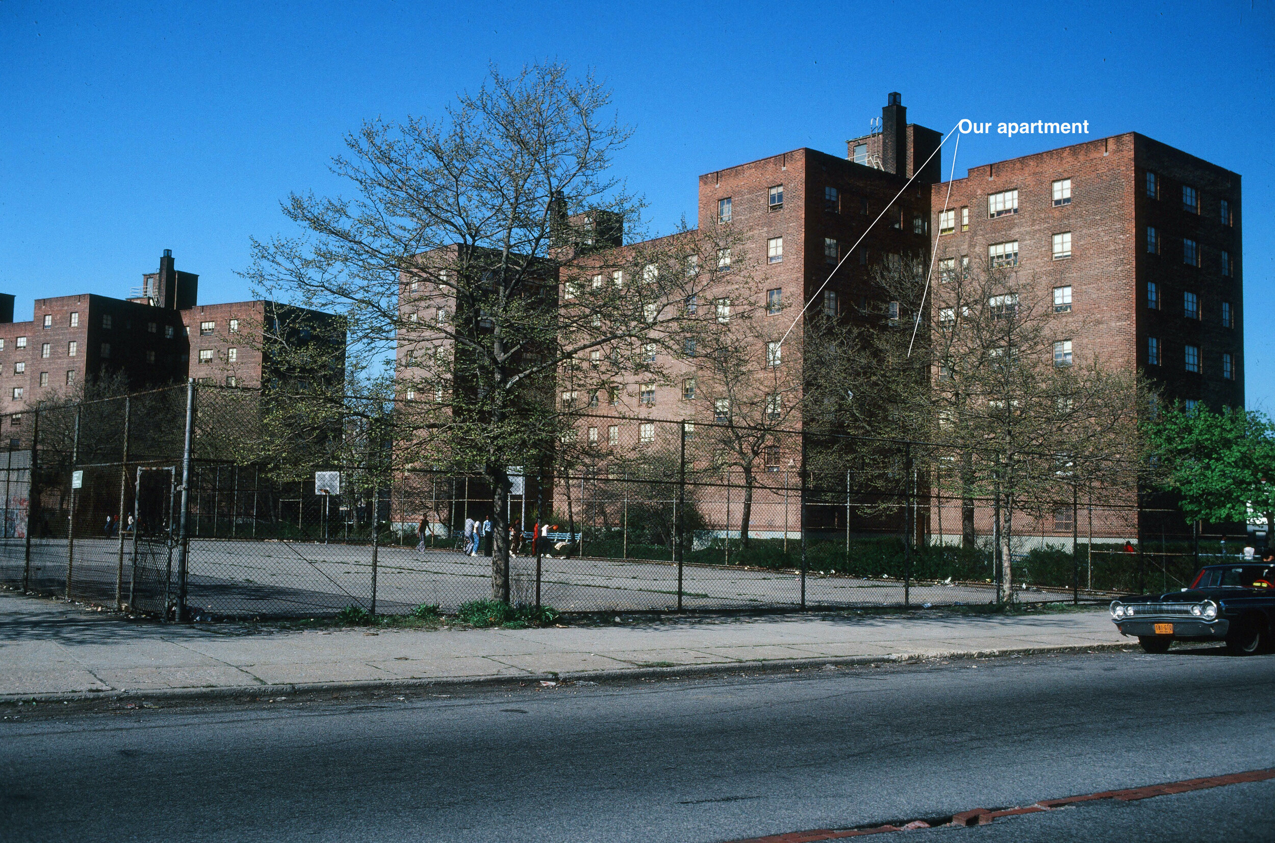  I learned to ride in the playground of our middle income NYC housing project off Beach 54th Street in Arverne (on the Rockaway Peninsula) NYC. I persisted, and after quite a few scrapes was able to ride with no hands on the handlebars. 