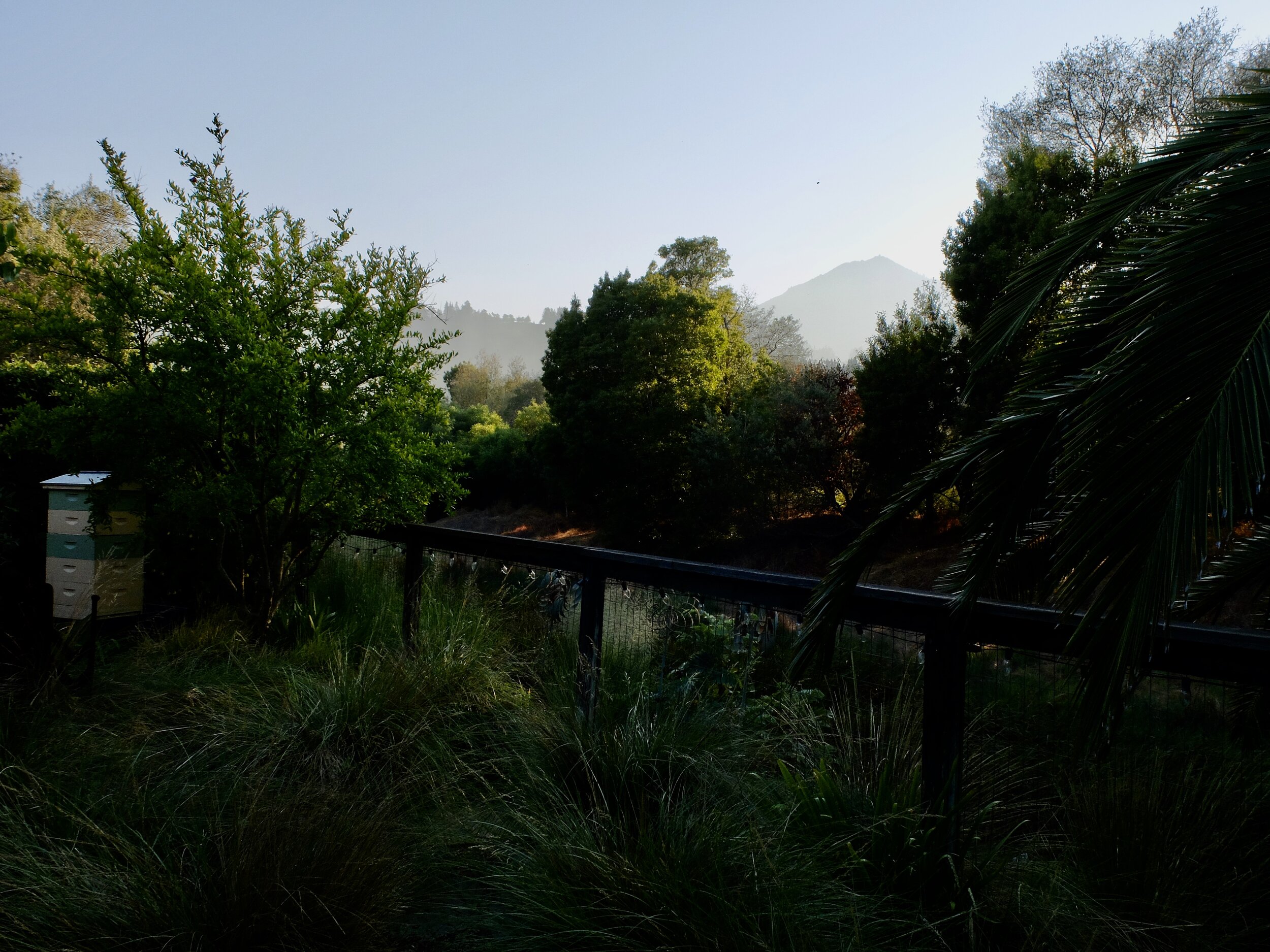 AQ still not good as shown by this hazy, smoky view of Mt. Tamalpais.