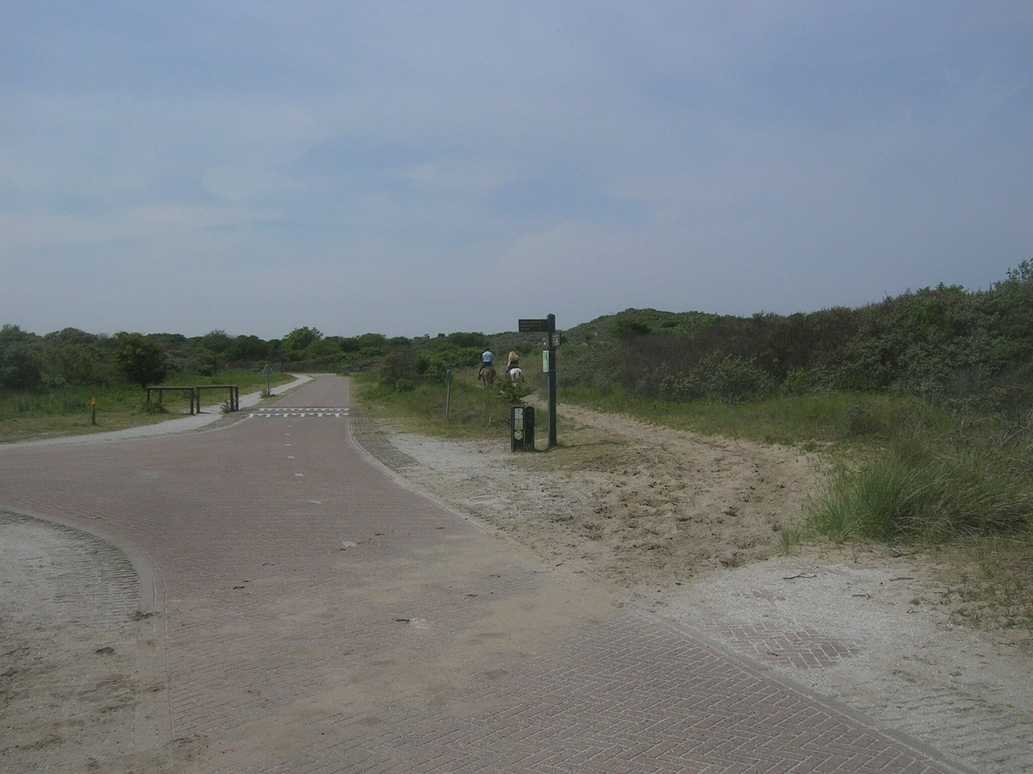 This is the Nordzeeroute in Holland that has separate paths for bikes, pedestrians, &amp; horses. We're not there yet here in Marin or the USA, per se.