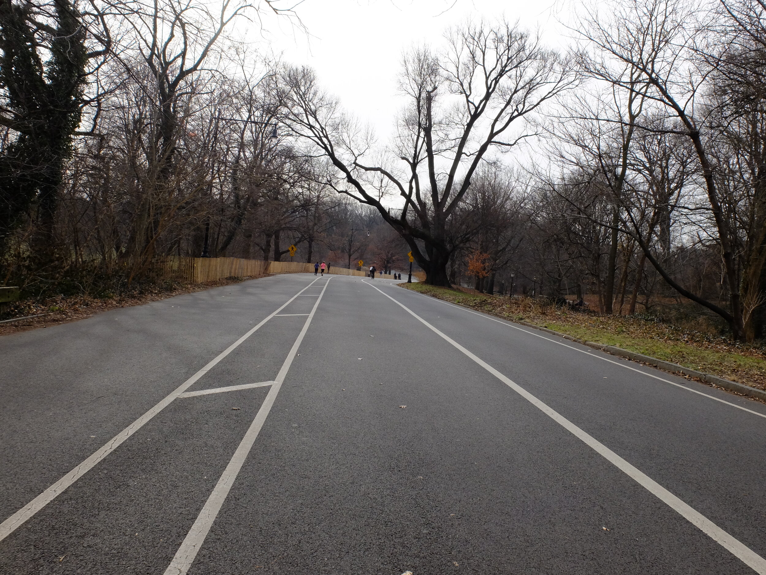 Prospect Park would be safe bicycling but...