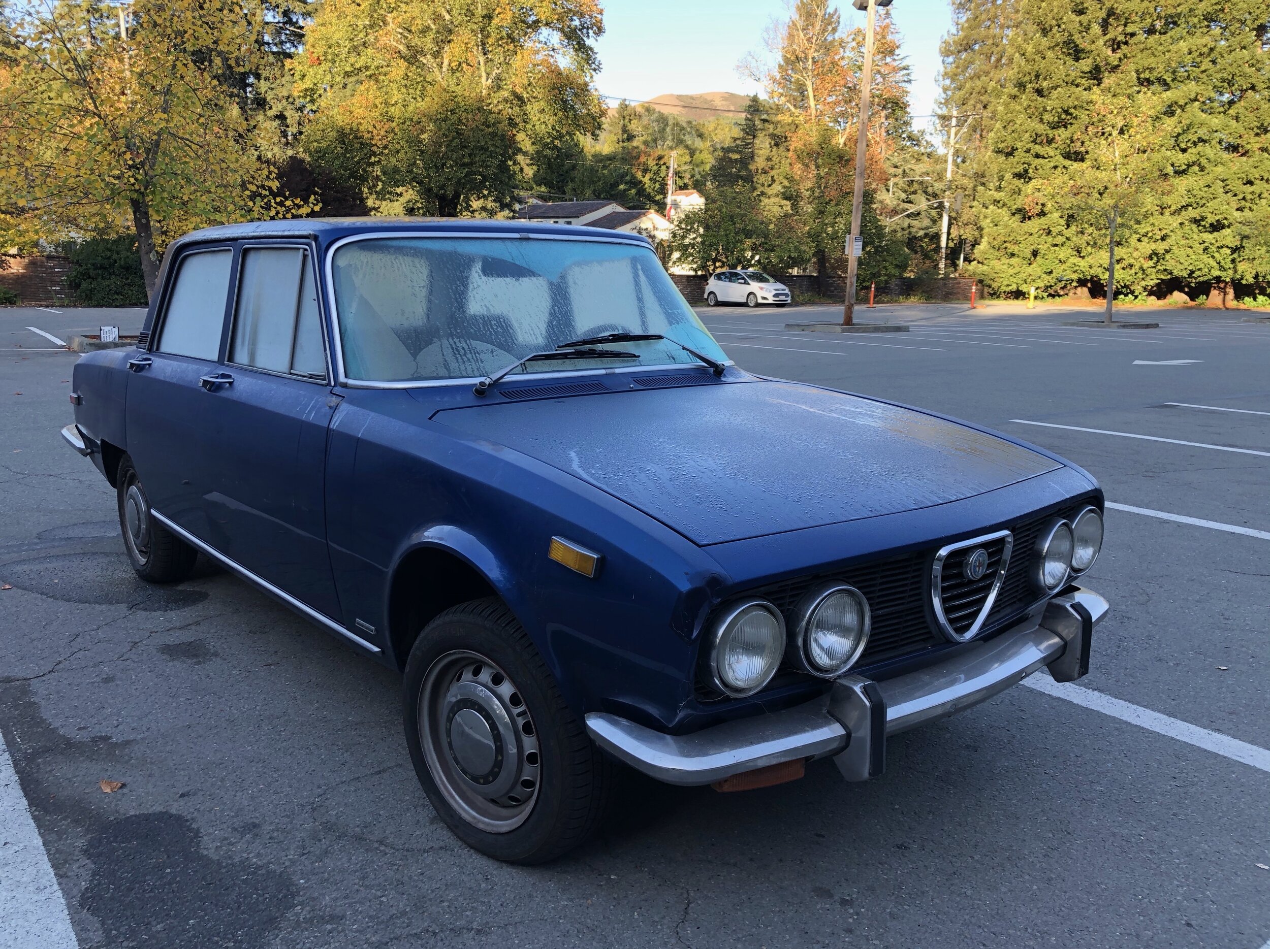 As I approached with a side view, I thought "Vintage Toyota or Datsun."  Wrong.  They just copied the design from Alfa Romeo.
