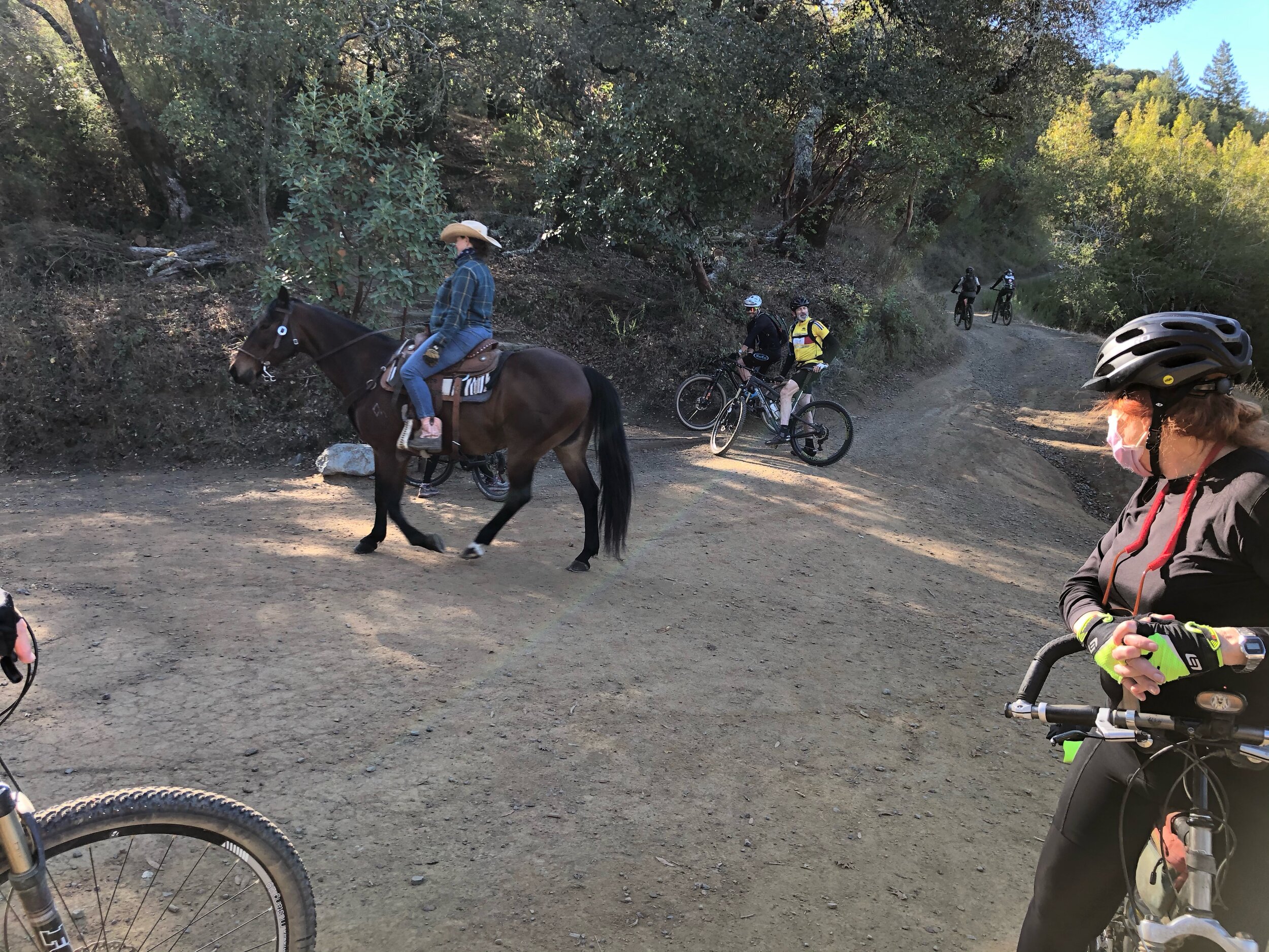 Sharing the fire trail.