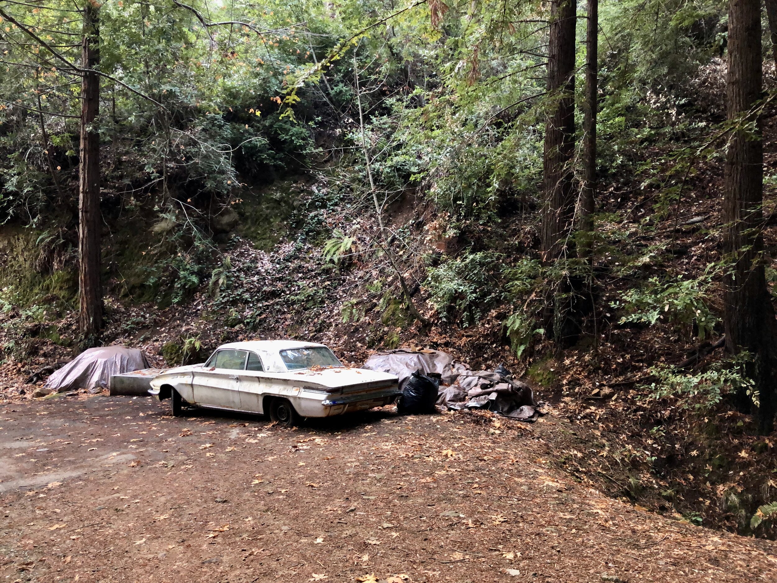 At end of Southern Marin Line Fire Road.