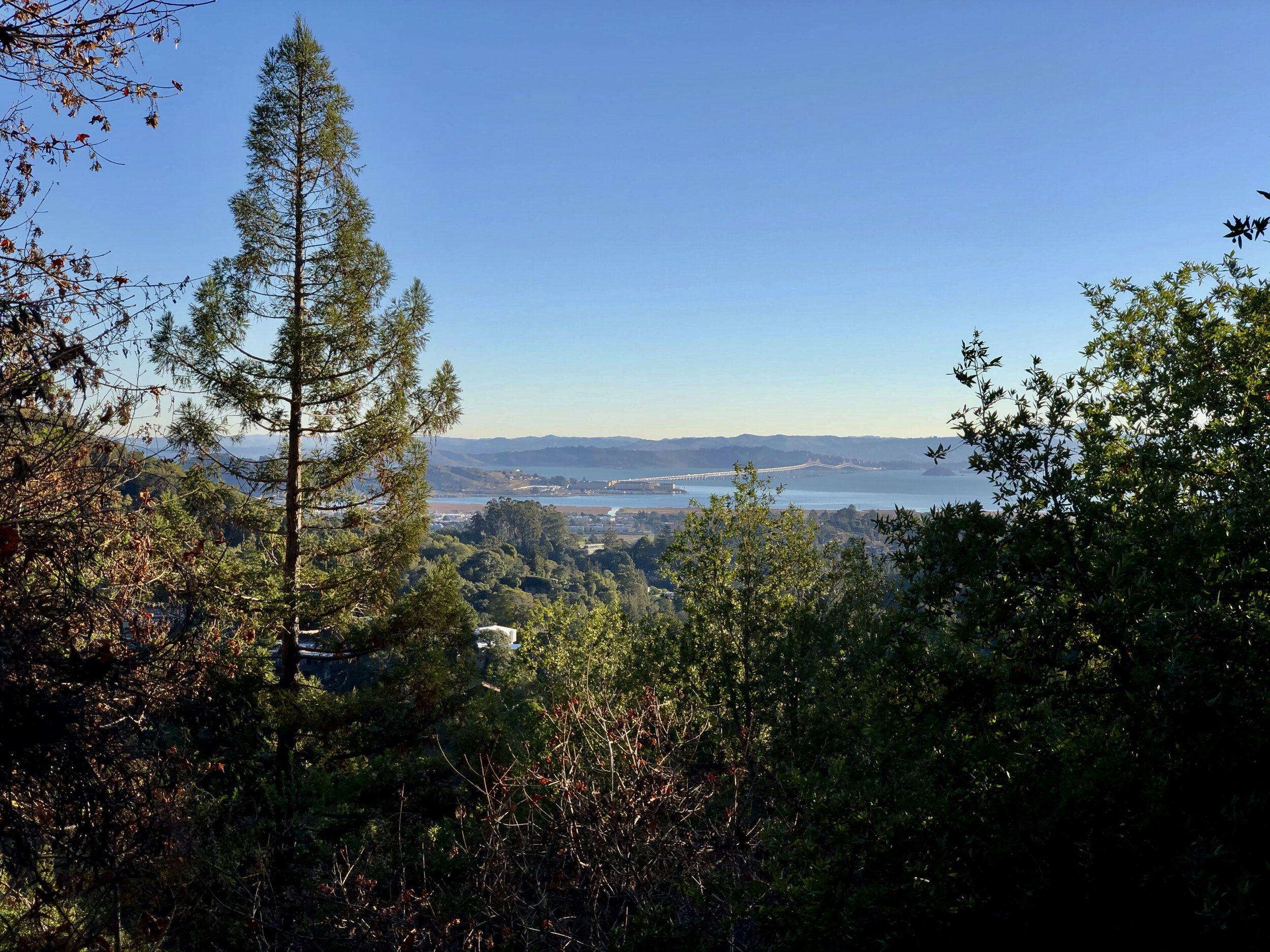  Richmond/San Rafael Bridge from S. Marin Line Fire Rd. We've met many people while hiking the this road.  Jane, a retired professional photographer, has shared photos with me &amp; made suggestions of other photographers’ websites to visit &amp; be 