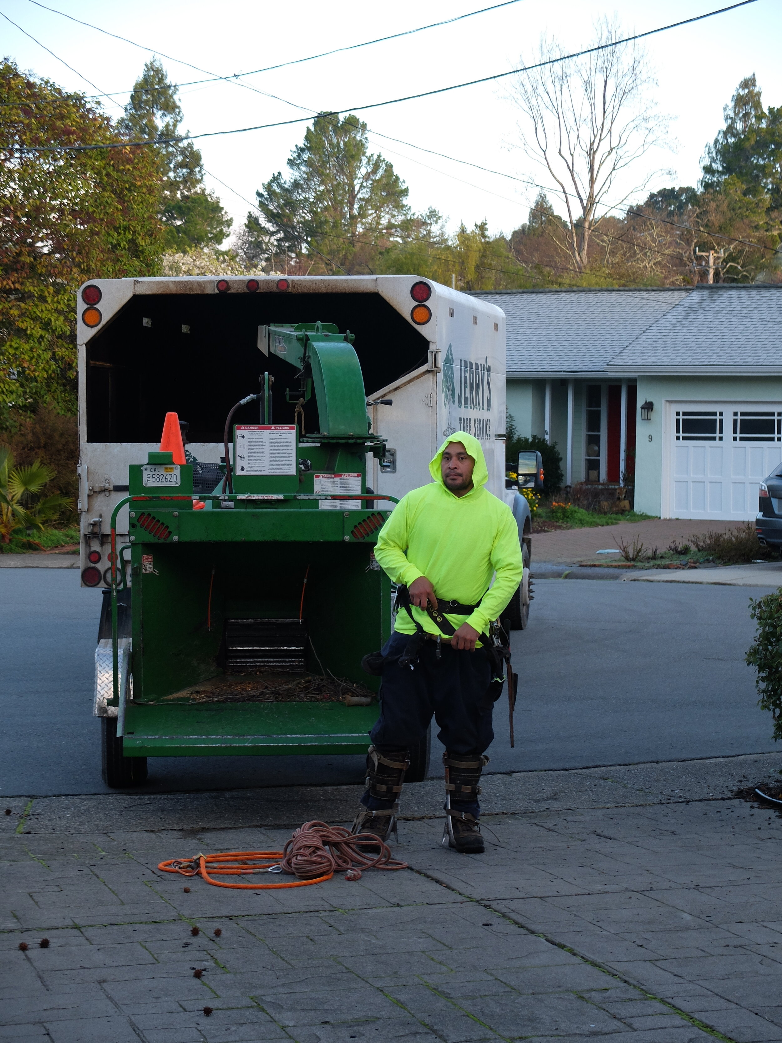 Our next door neighbor had some trees trimmed.