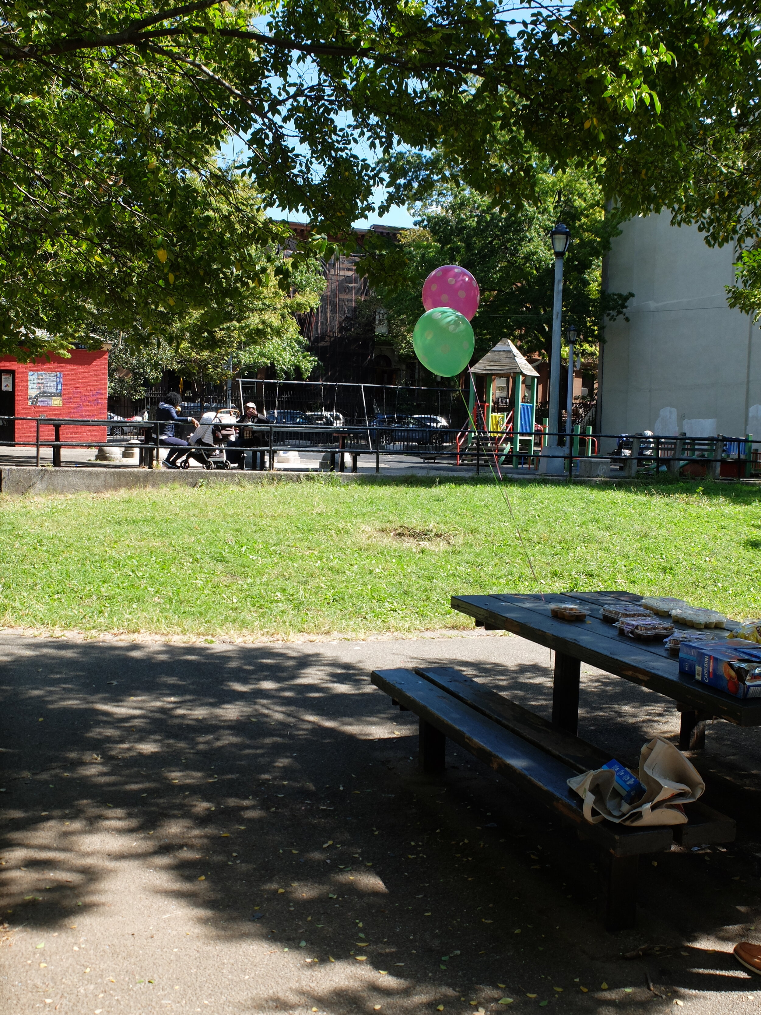  Parham Playground, Clinton Hill, one of the highest areas in B'klyn  L.uca &amp; Eloïse’s P.S. 20 is adjacent to the playground.  Luca’s class walked over to celebrate his 6th birthday here. 