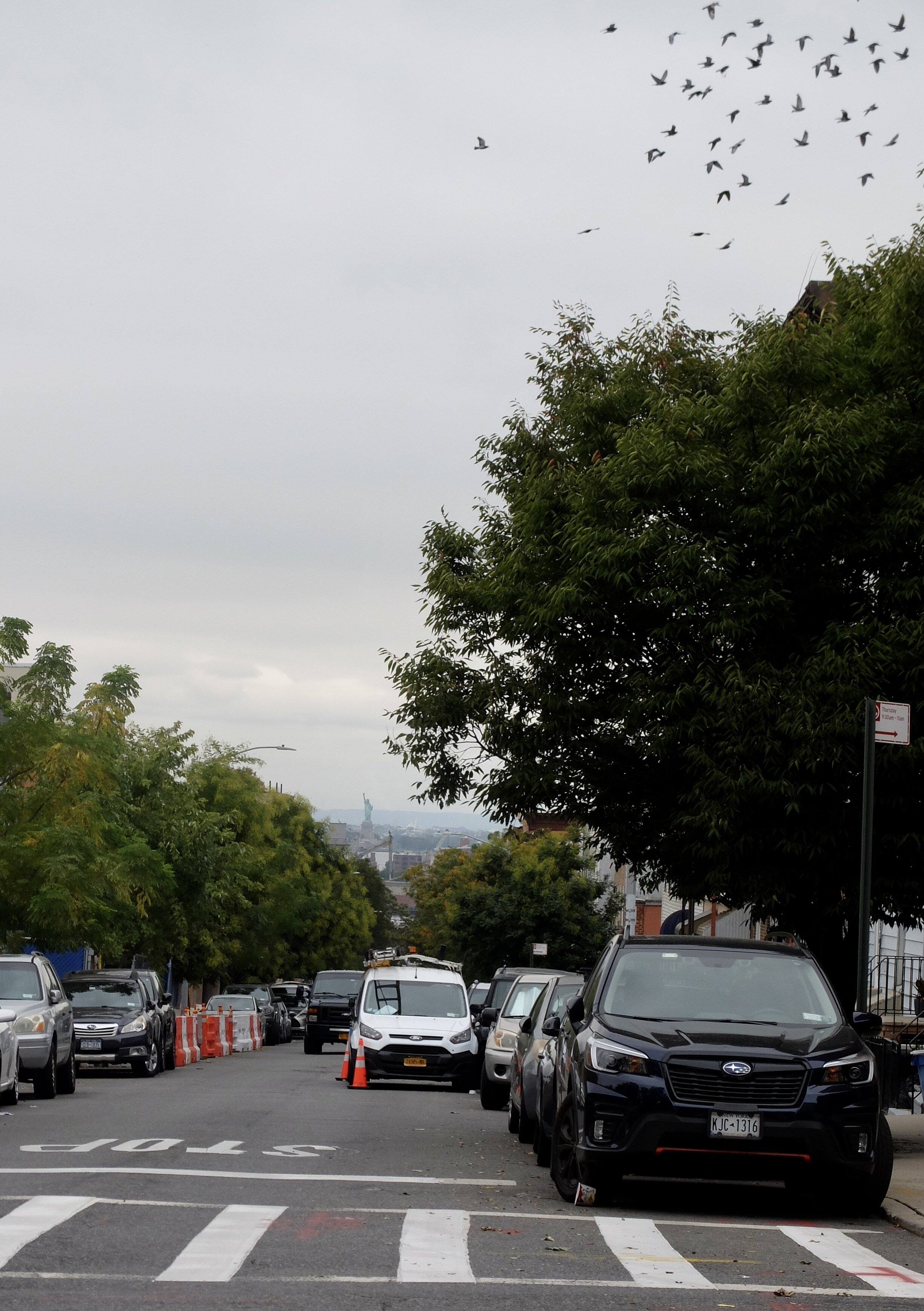 A quiet neighborhood with an unexpected view of the Statue of Liberty.  That is, it was quiet except for this exceptionally noisy...