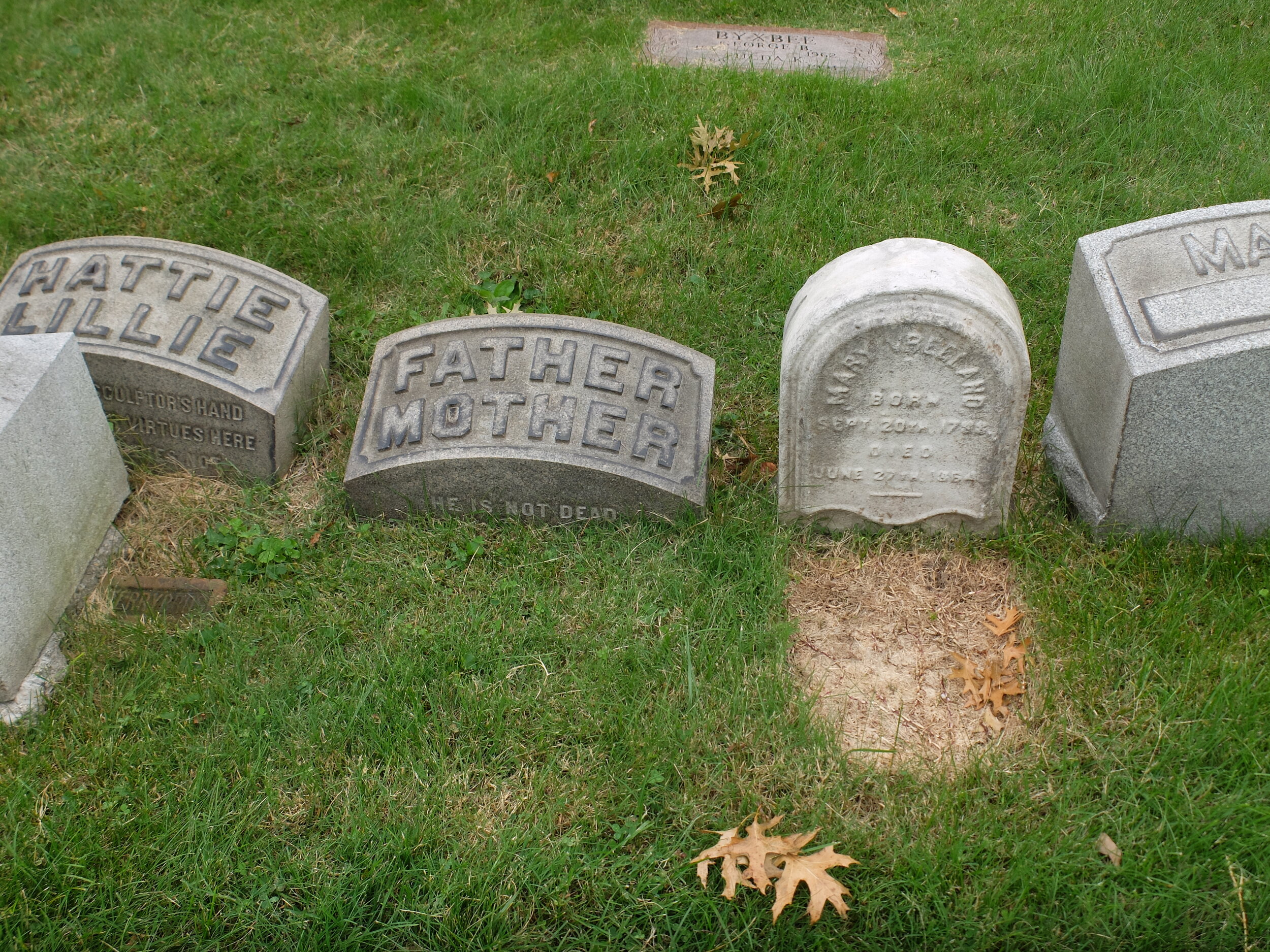 A once fashionable style of family plots.