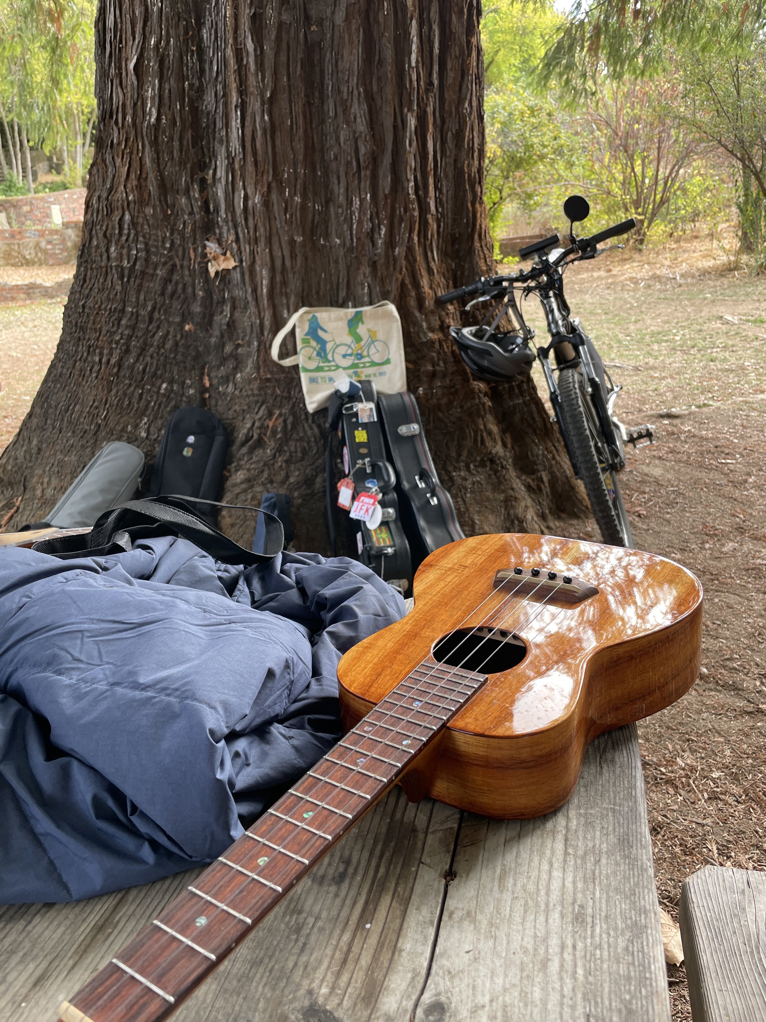 Still playing the ukulele but now adding some bluegrass.