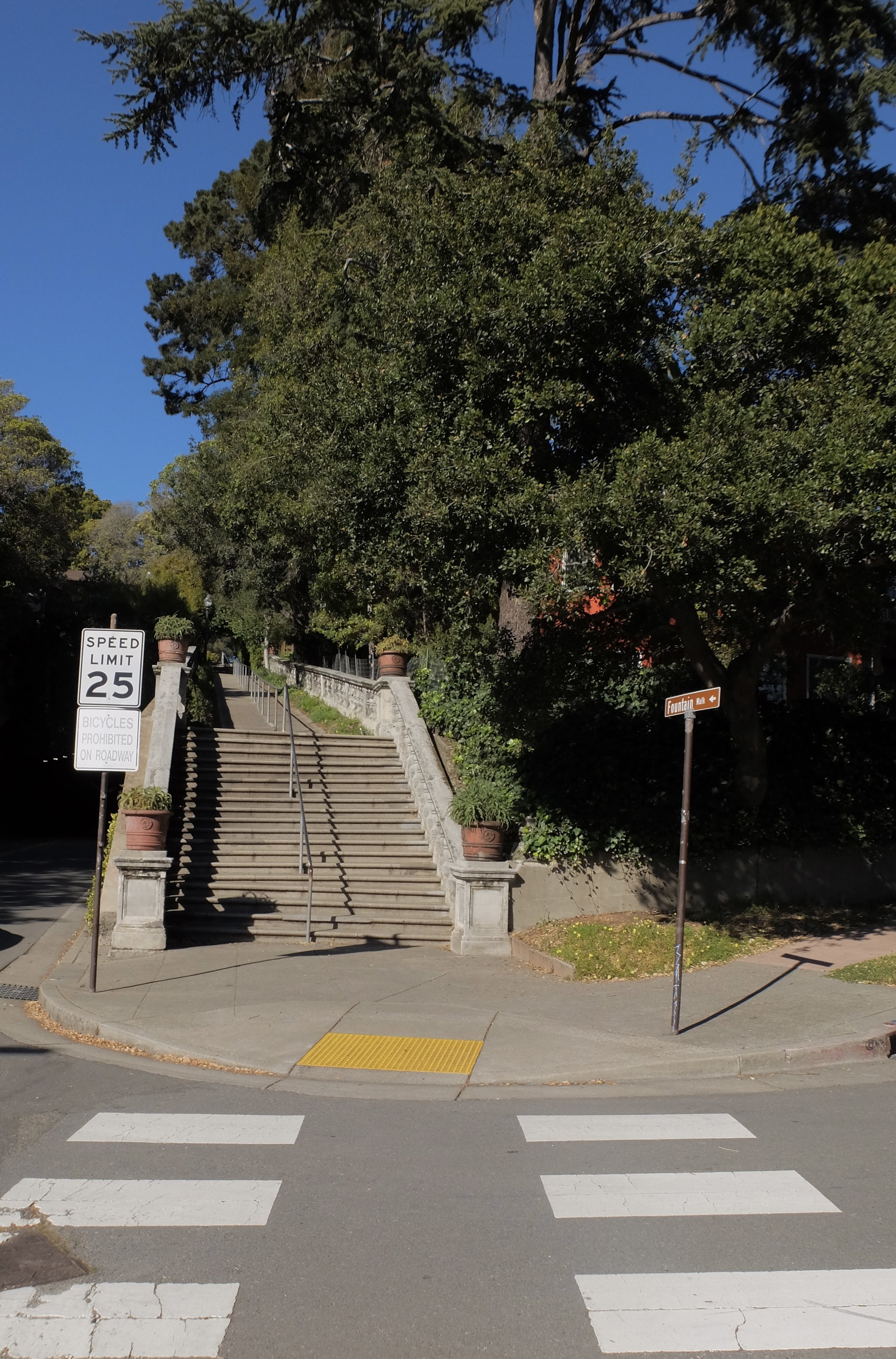  I had seen these steps many times as we drove &amp; entered the Northbrae (Solano) Tunnel. I parked nearby &amp; climbed up hoping that I'd somehow end up on Solano Ave. that is at the other end of the tunnel. 