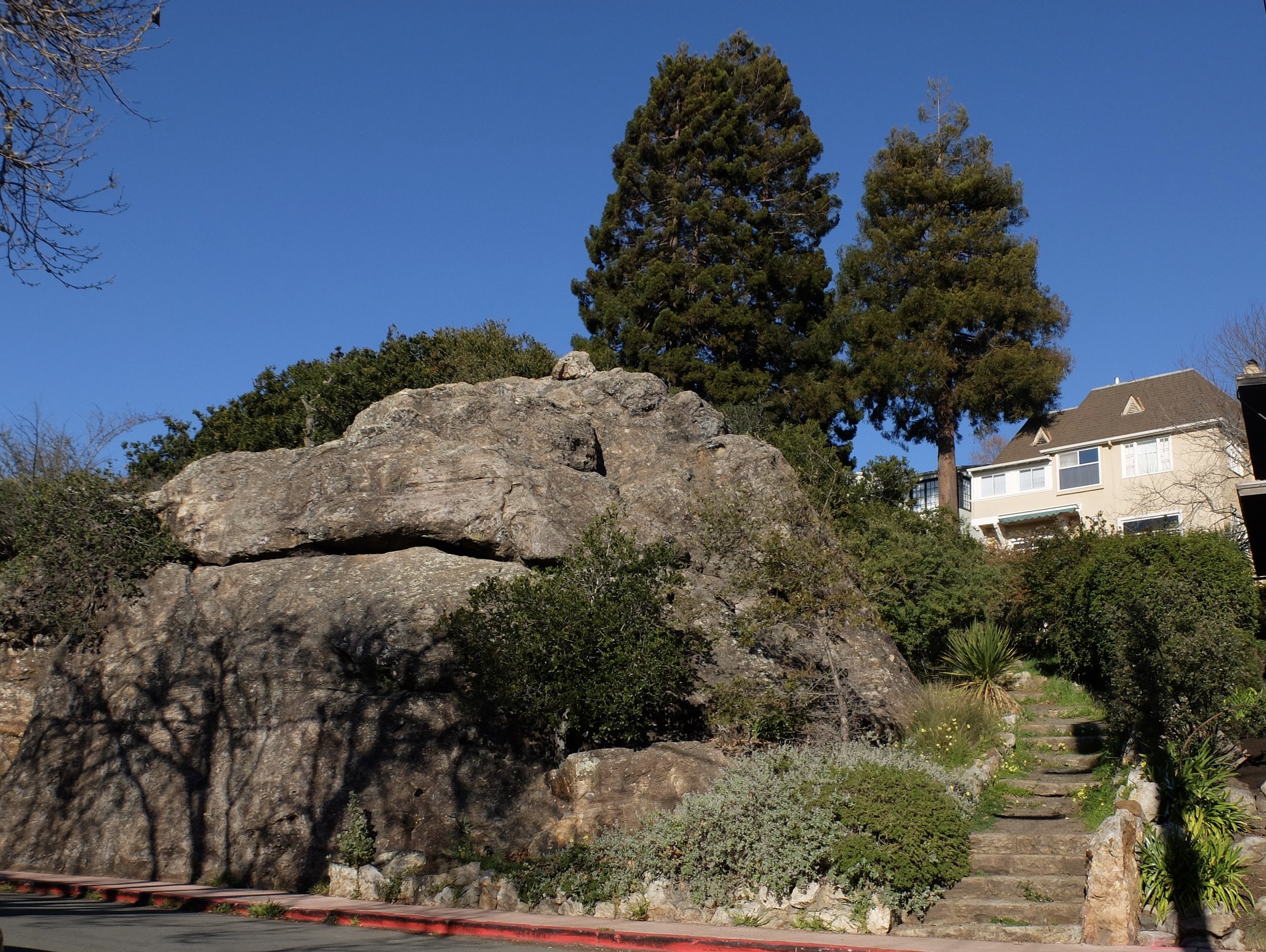 ...Contra Costa Rock.  I climbed the steps thinking it would take me over but it took me around the rock.  It's a designated Berkeley city park.