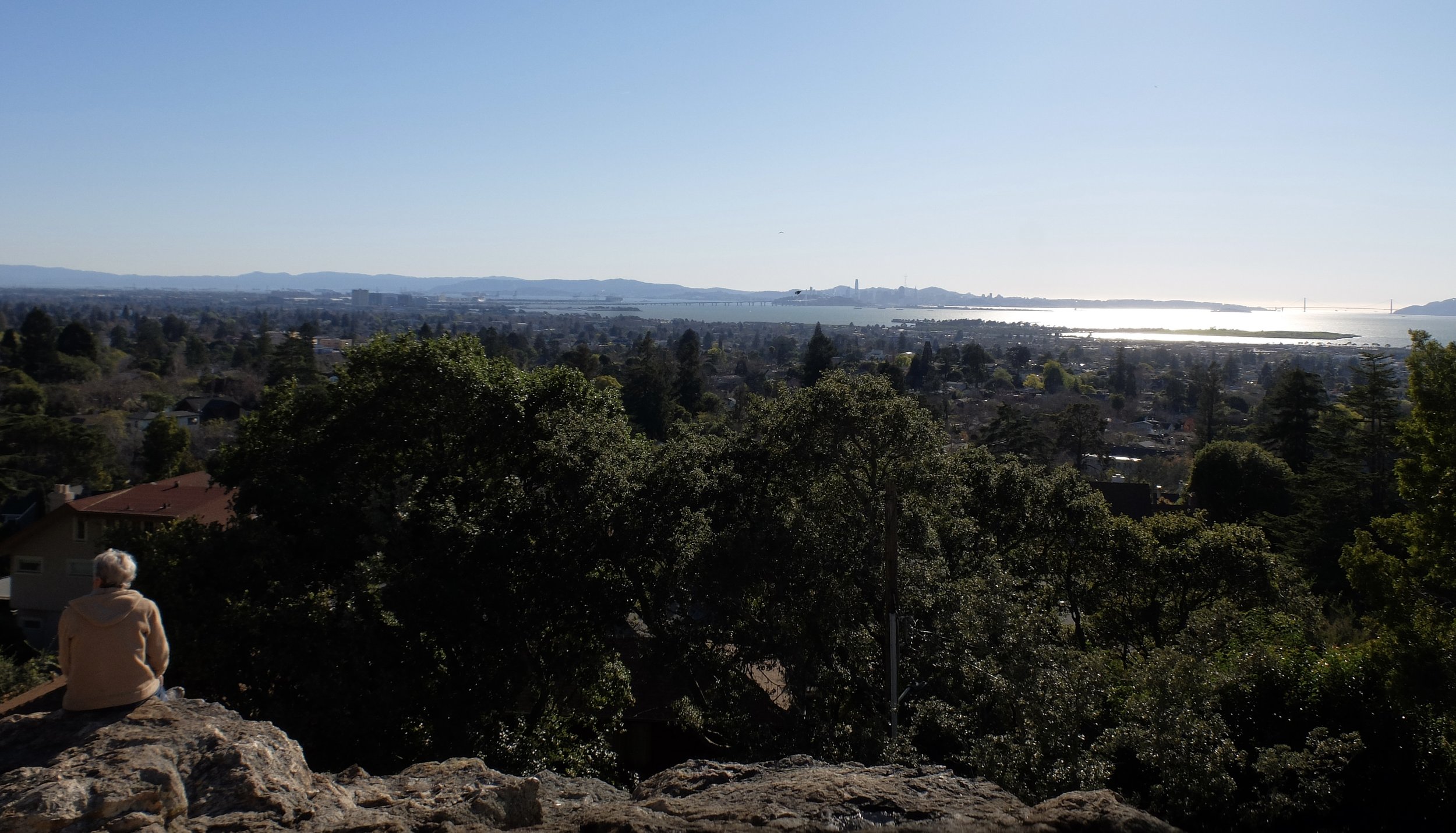 The view of San Francisco Bay from Indian Rock Park.