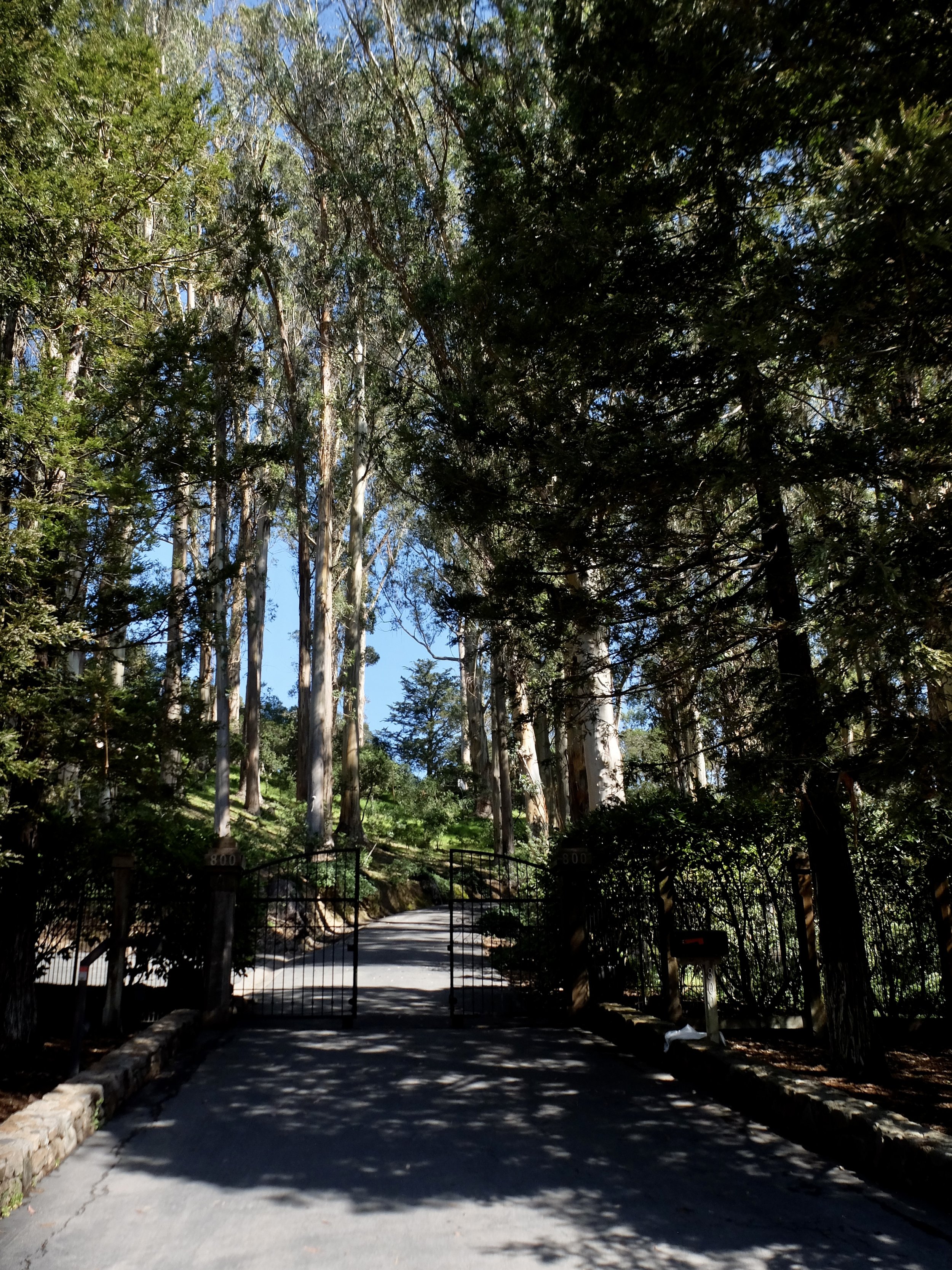 This is the entrance to what Bill Graham called Masada, when he lived here in Corte Madera.