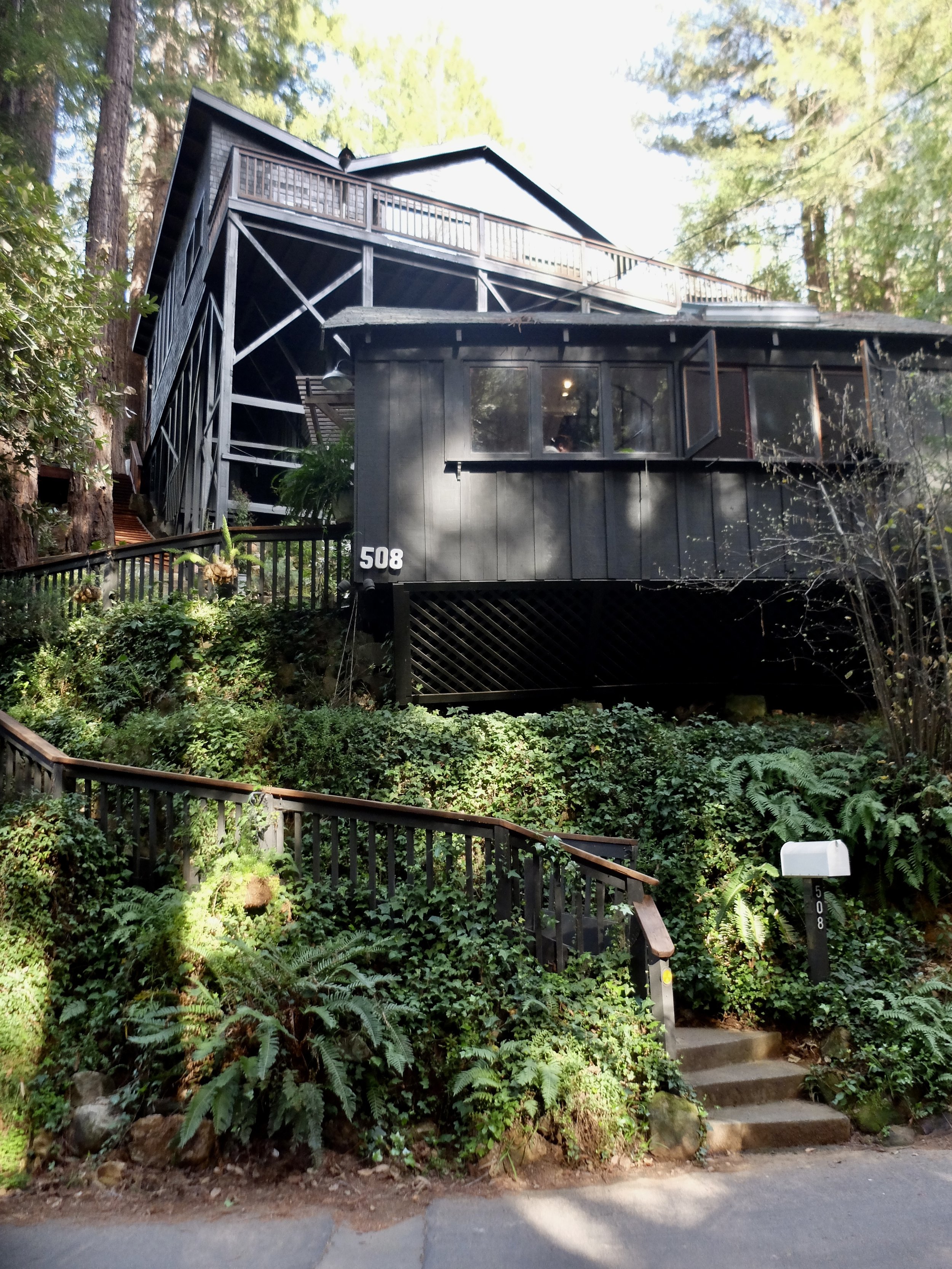 Phew.  Hillside living in Mill Valley.  That's a long way to bring up the groceries.