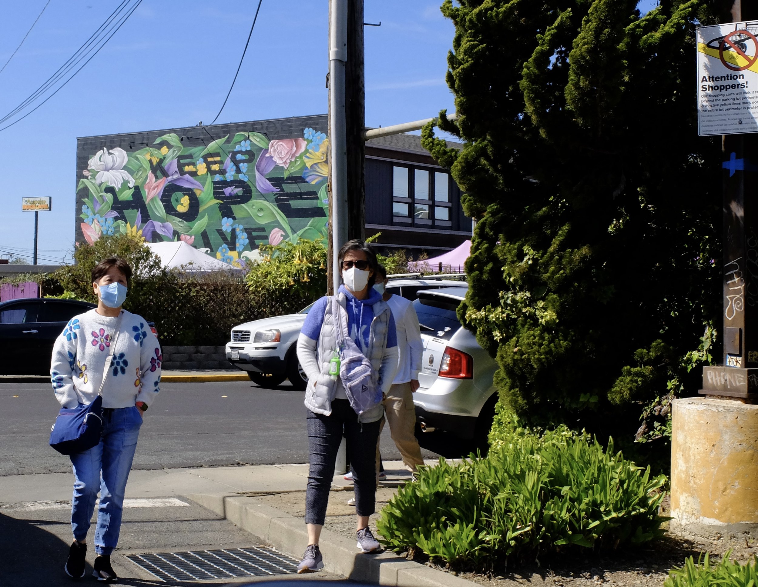 The mural is on the side of a cannibis dispensary building but check out the warning about shopping carts.