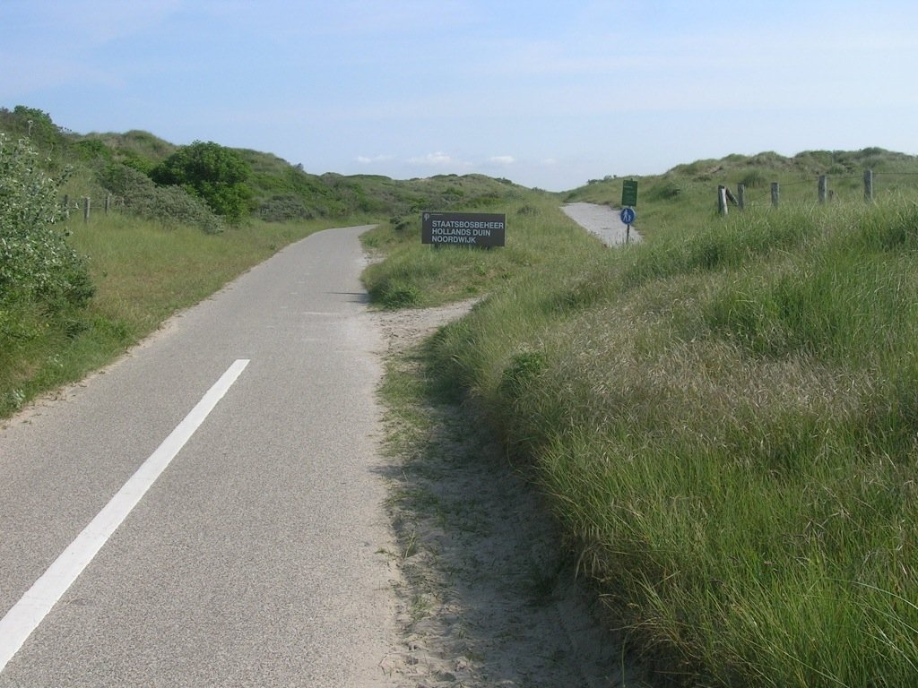  In May 2005, with some pals,  we were bicycling  along the Staatsbosbeheer Hollands Duin Noordwijk (Dutch Dunes) … 