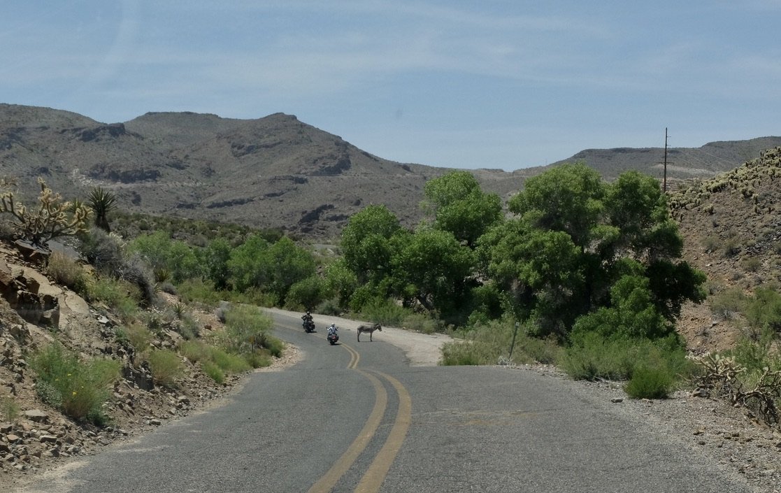 Uh oh. Approaching Oatman, AZ on Rte. 66.