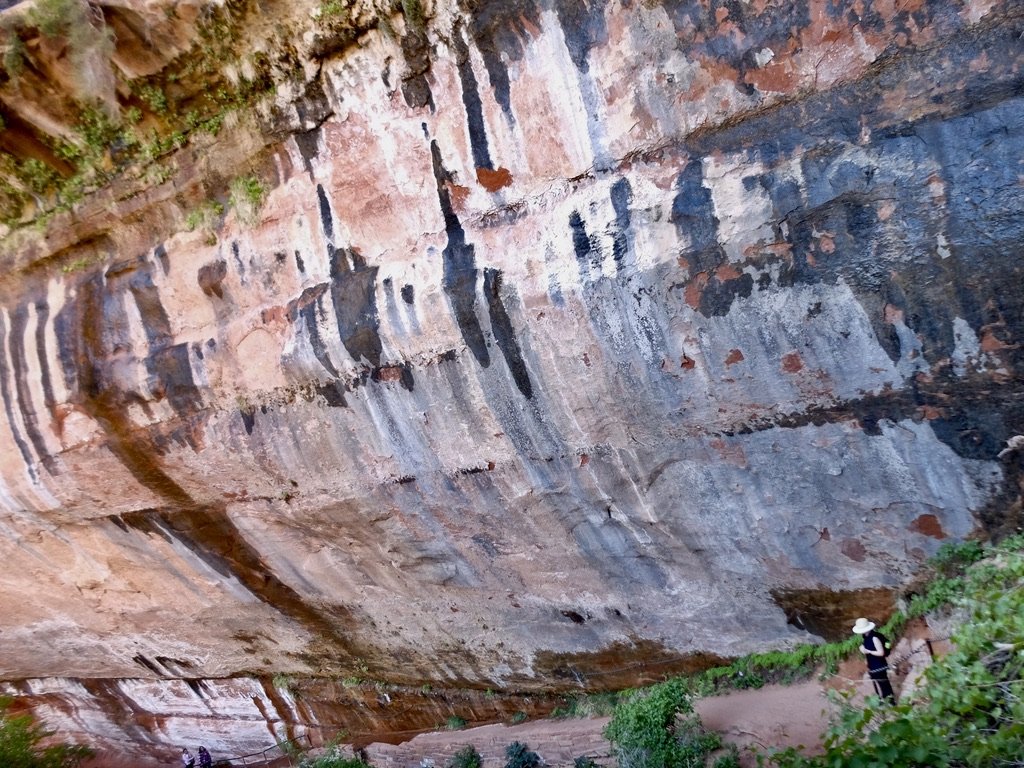 Temple of Sinawava Riverside (Virgin River) Hike &amp; Weeping Walls- Zion Nat'l Park