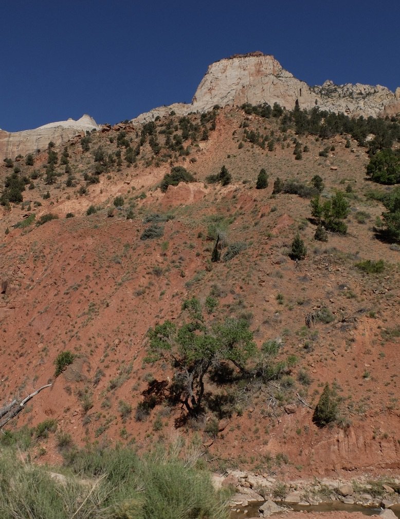  “A huge rock-avalanche landslide collapsed off a peak named the Sentinel 4,800 years ago, dammed the Virgin River &amp; created a lake that lasted 700 years until it filled with sediment, producing the flat, cottonwood-dotted canyon floor enjoyed to