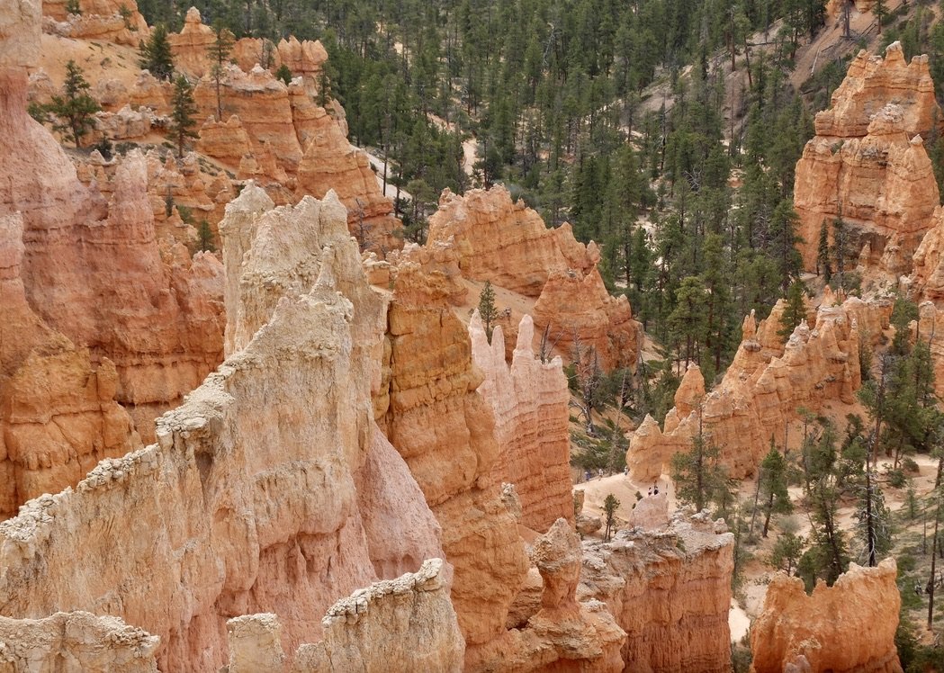 Rim Trail - Bryce C'yn Nat'l Park.