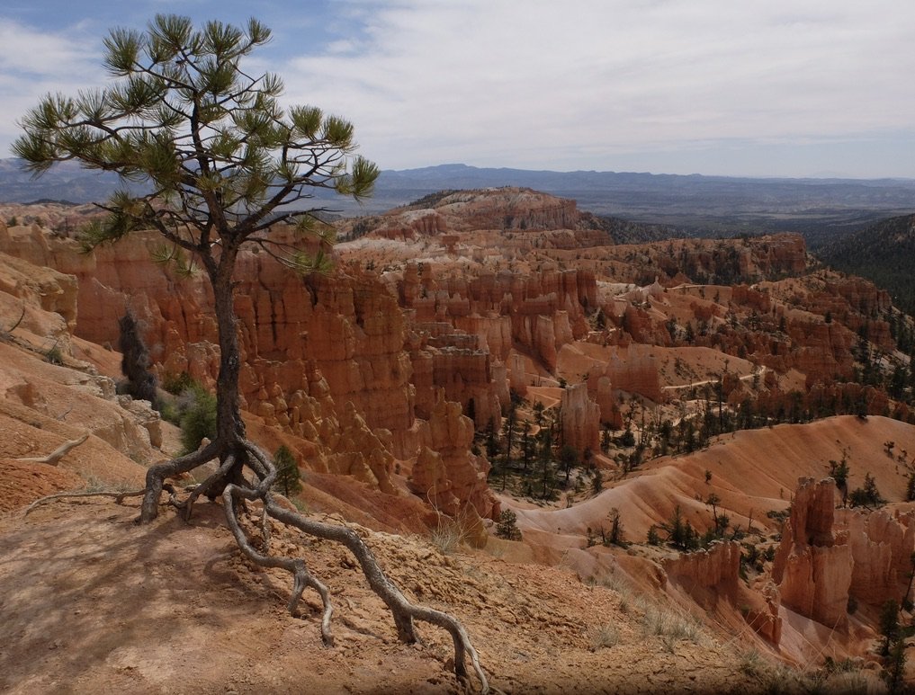 Rim Trail - Bryce C'yn Nat'l Park.