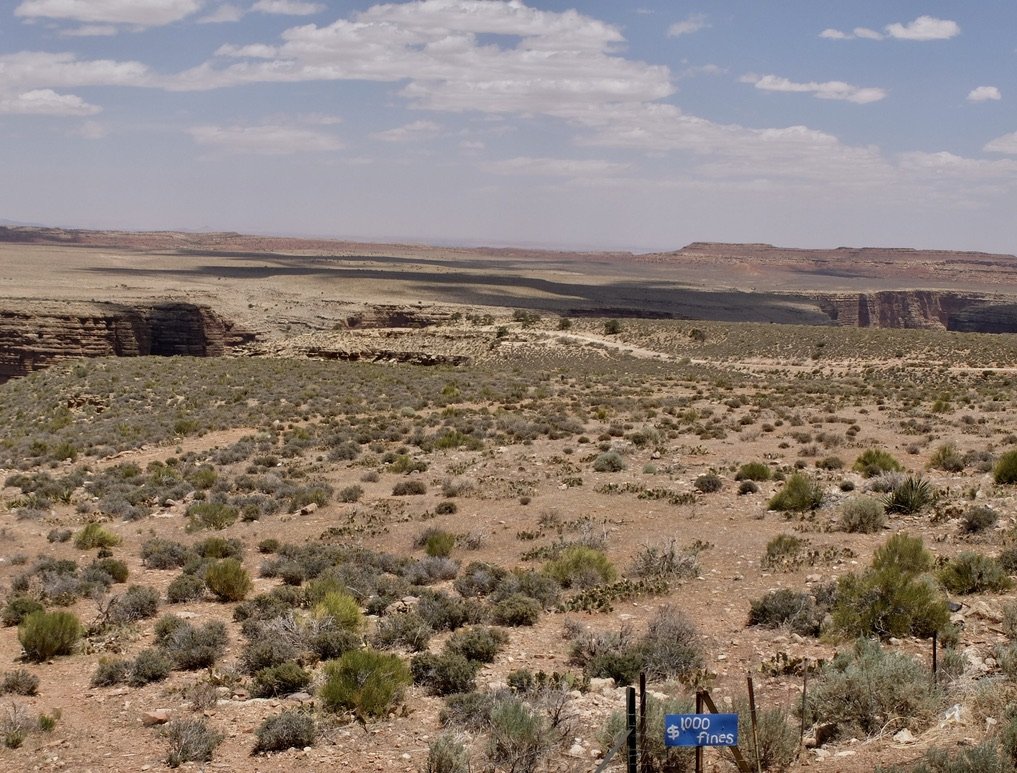  Kaibob-Paiute Tribal Lands.  If you want to learn about the Paiute Tribe's history with the Mormon's in Utah, once again I recommend    Under the Banner of Heaven  on HULU.  (Or, read the book). 