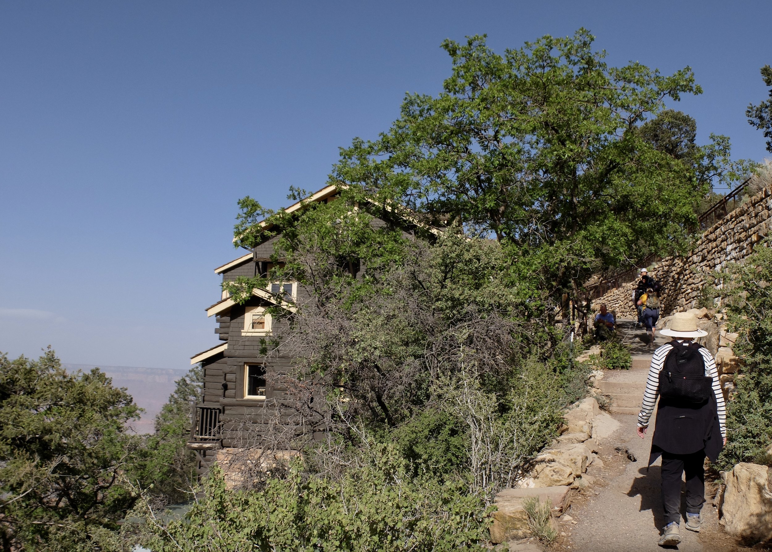 I was entranced by the architecture &amp; huge boulders along the Rim Trail. 