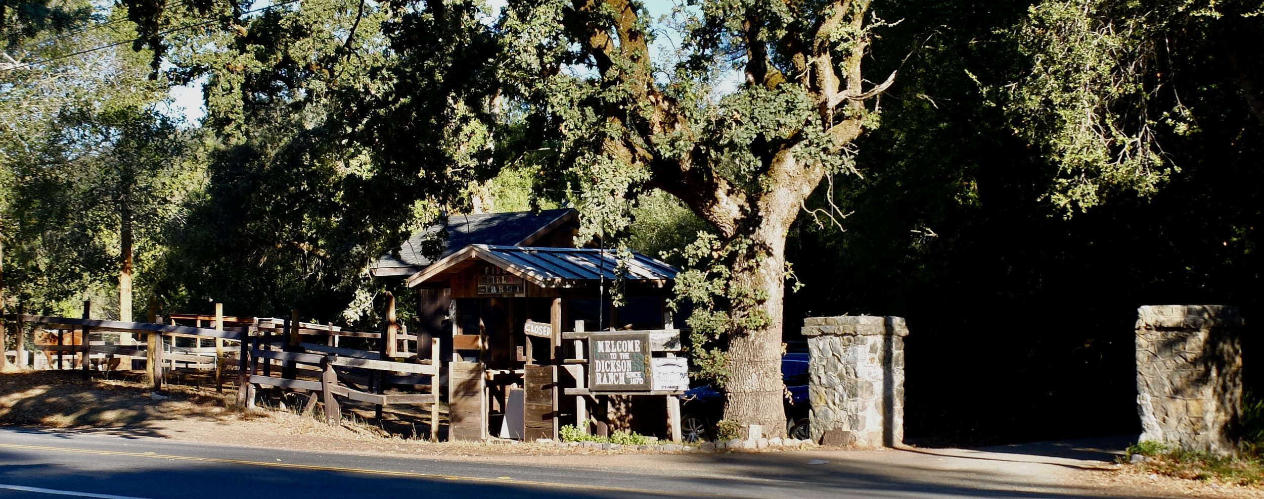 San Geronimo Valley Drive, Woodacre.
