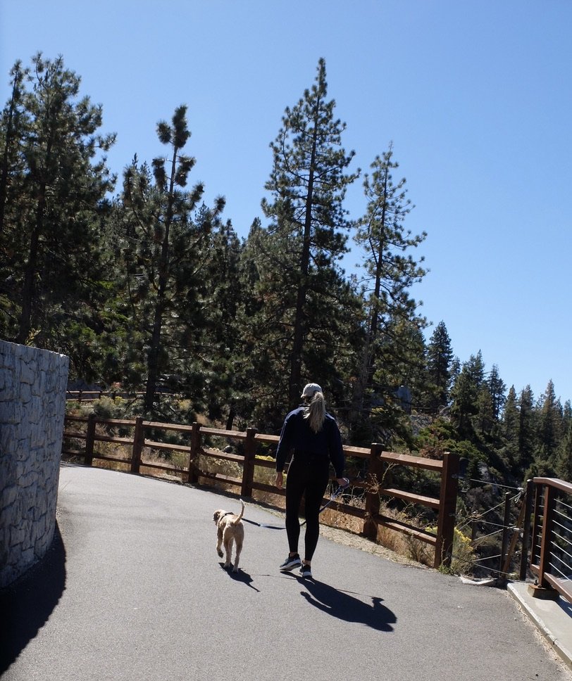   “Open as of June 2019 &amp; dubbed as ‘America’s Most Beautiful Bikeway’, the Tahoe East Shore Trail is a 3-mile paved trail system connecting Incline Village south to Sand Harbor State Park.” 