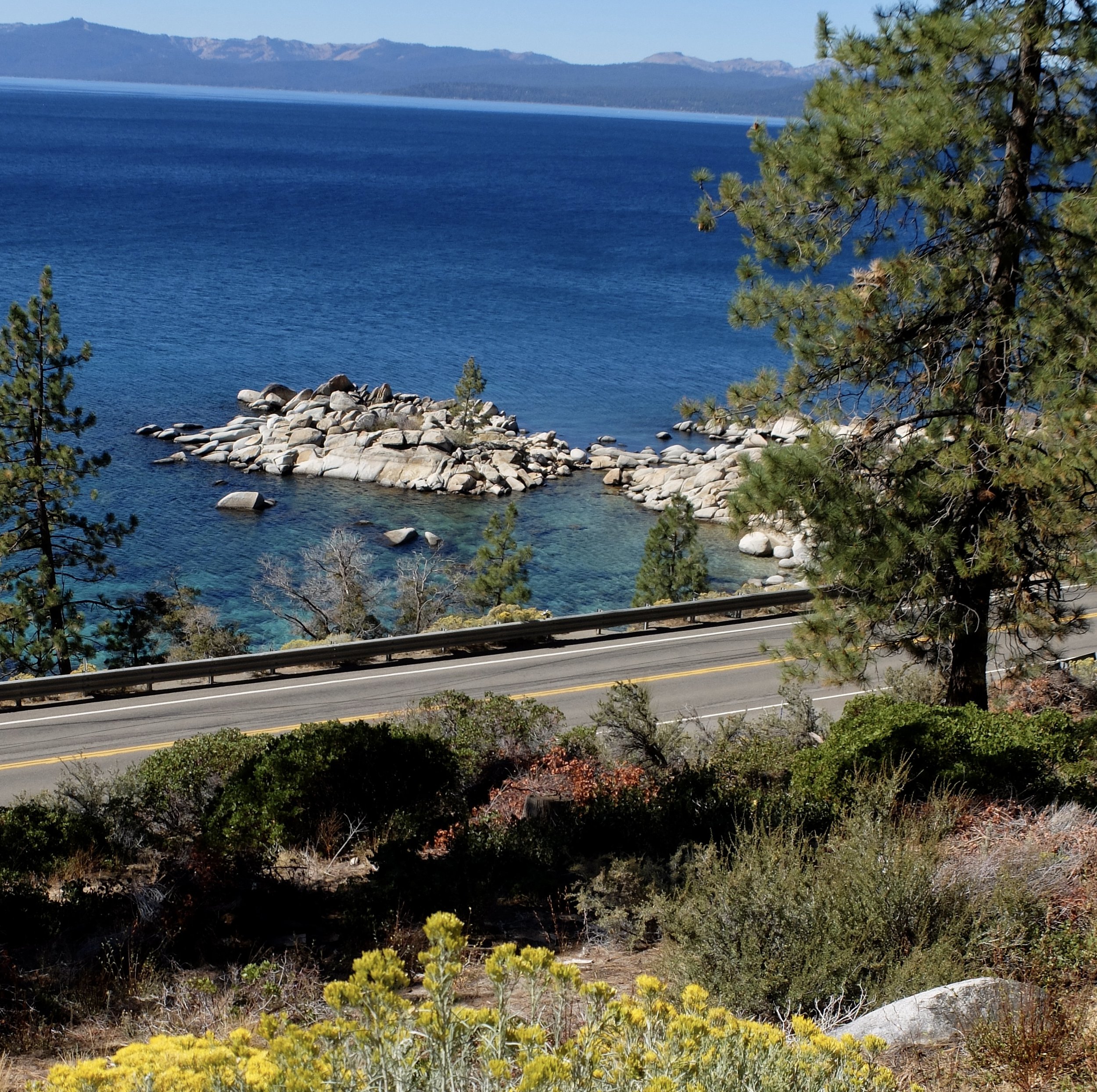 At this altitude, about 6,300', there were lots of blooming sagebrush. We had to climb a bit, up & over the roadway. Not yet being acclimatized to the altitude, it was hard work.