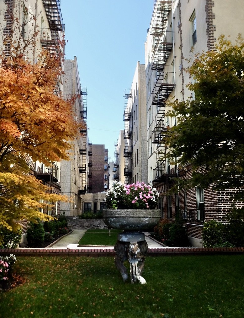 A view from the courtyard of 805 St. Marks Ave.