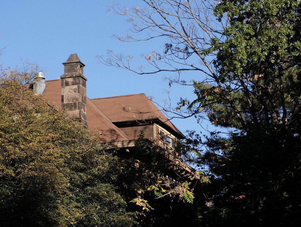  “One of the most recognizable buildings in the Crown Heights North Historic District, a High Victorian Gothic rock-faced brownstone called the Dean Sage House, could soon undergo significant changes.  Located at 839 St. Marks Avenue, right across th