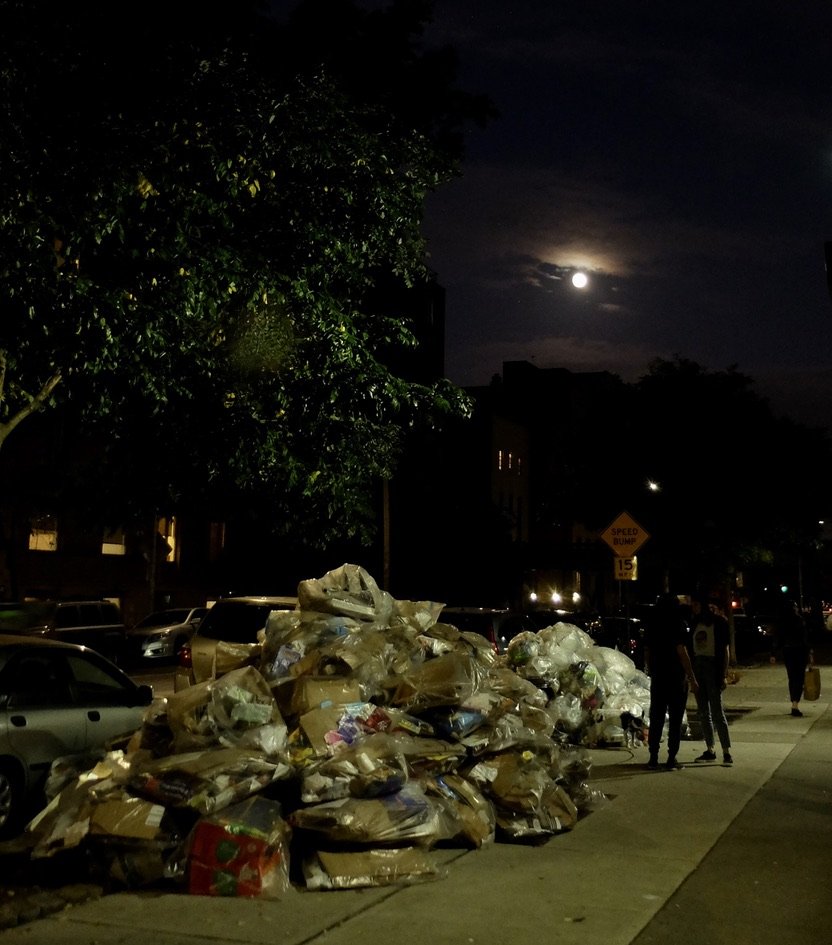 Full Moon Over Trash Mountains