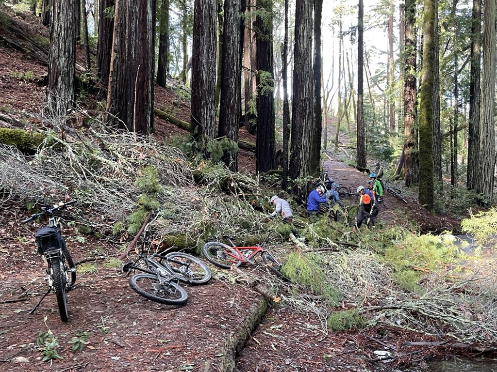  Following a downpour of about six inches in the Mt. Tamalpais Watershed there were a lot of downed trees.  Here, on the path around Lake Lagunitas a group of mountain bikers, some unknown to each other, worked together to make the path reasonably pa