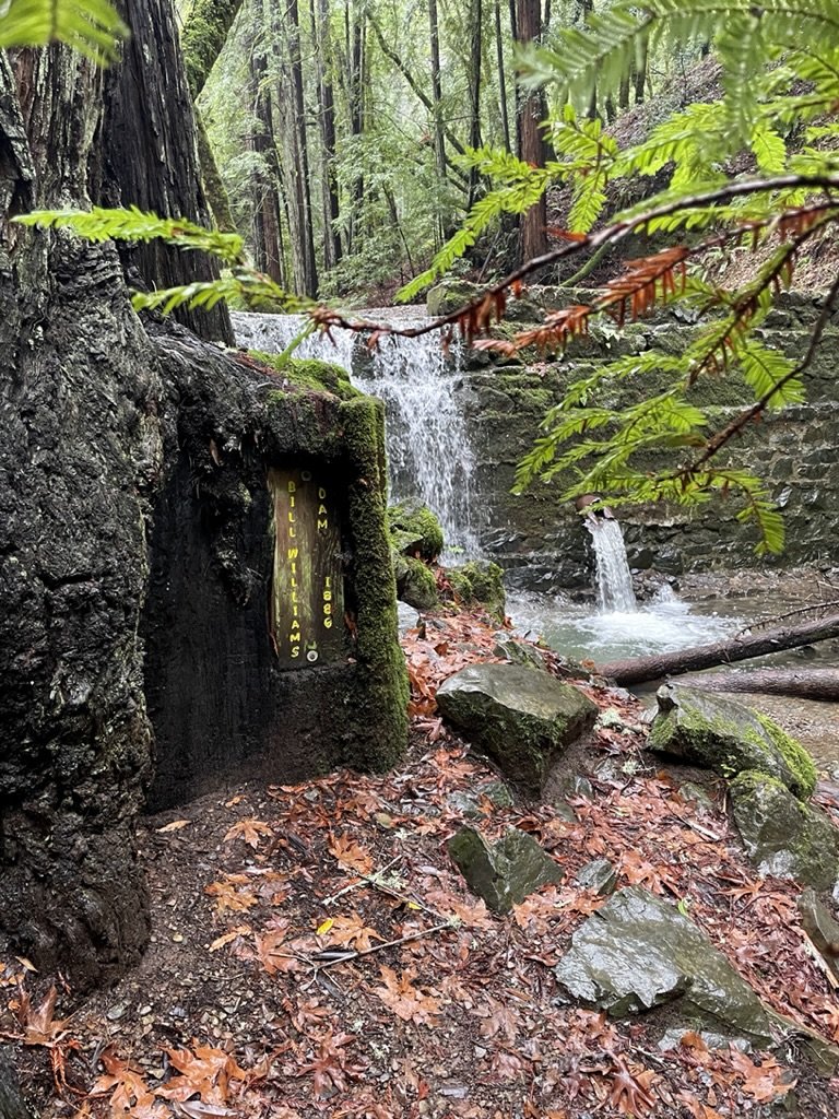  “The historic Bill Williams Dam above Phoenix Lake. It was built in 1886 by the Marin County Water Company, a private predecessor of Marin Municipal Water District. It was used by MCWC until the completion of Phoenix Lake in 1906.” 