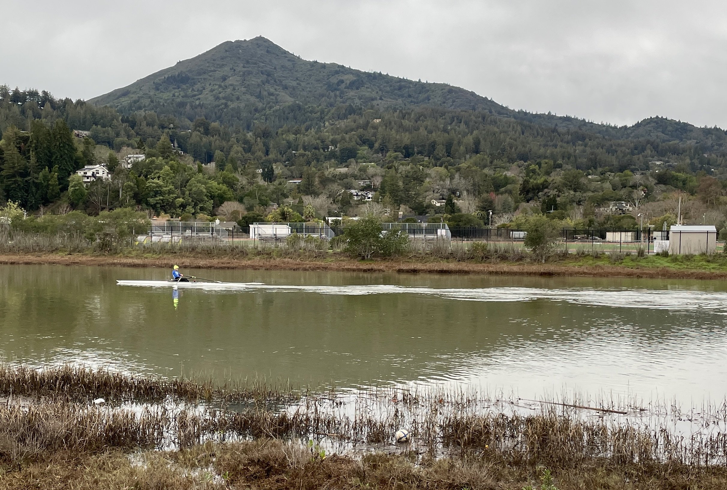 Corte Madera Creek, Kentfield, CA.