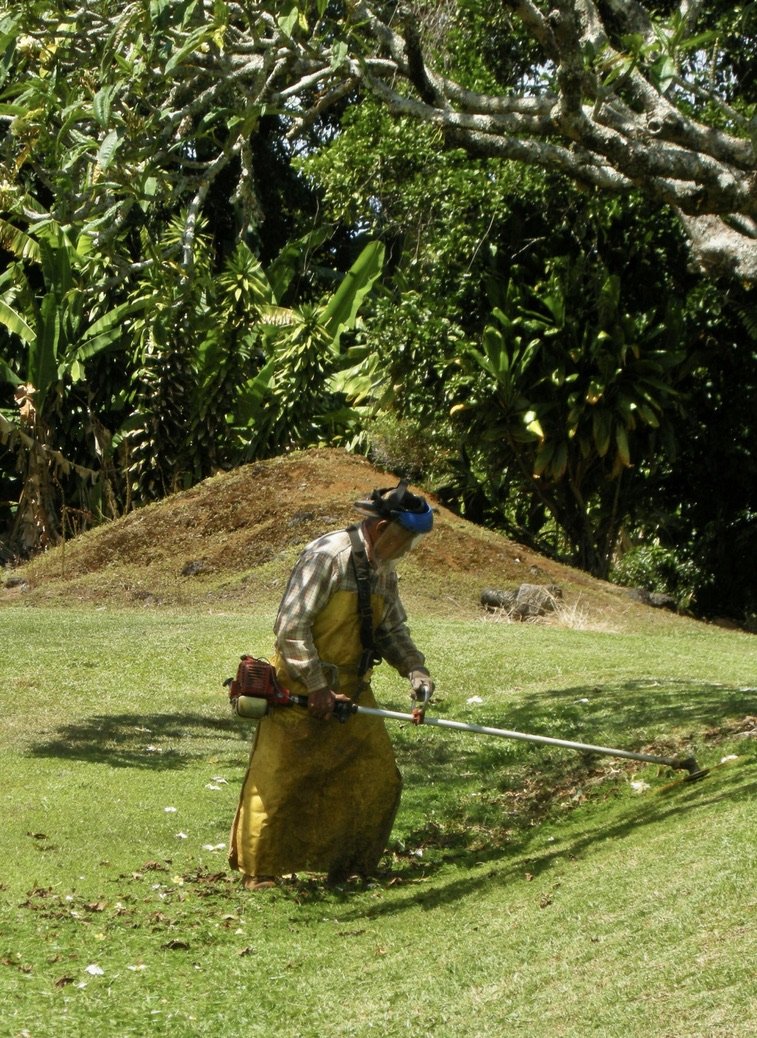  From a distance, he looked like a samuri warrior.   Honomu, Hawaii. 