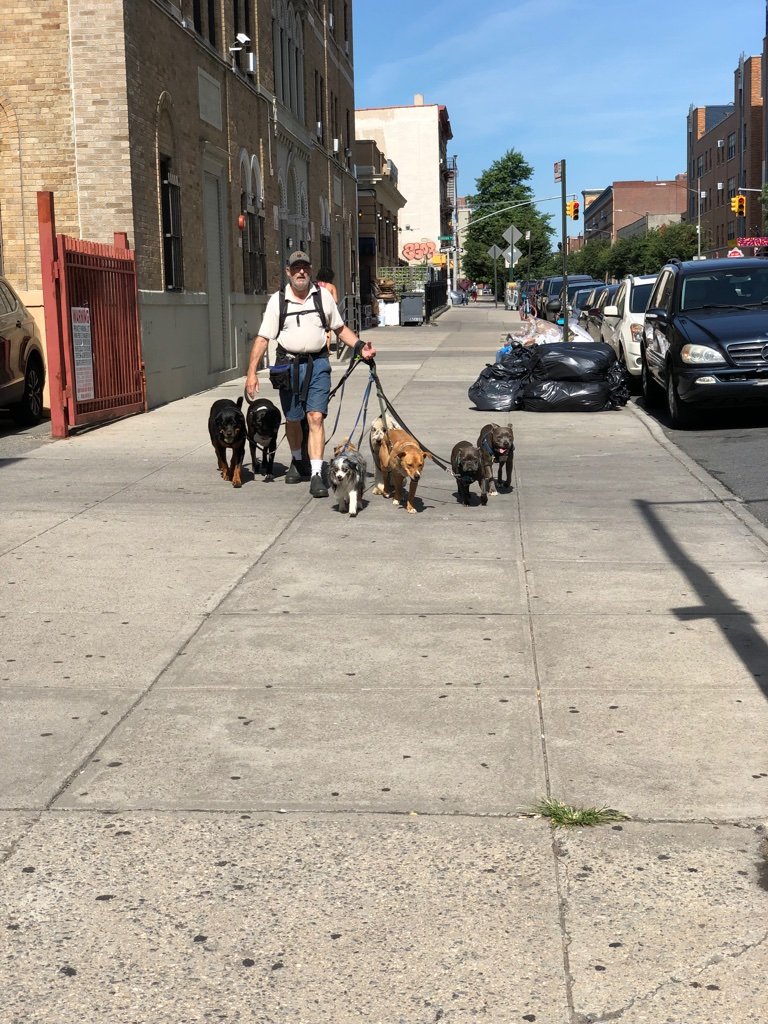 Crown Hts., Brooklyn, NY.