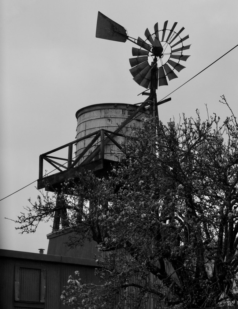 Yes there are windmills in Berkeley.