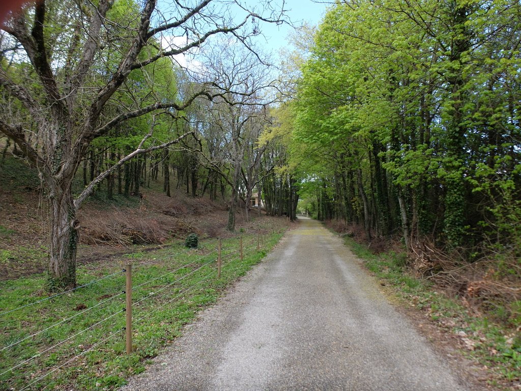  .15 mile stroll, past two donkeys &amp; two horses on the left &amp; a lavender field on the right down Route du Roc to Maison Libela where Nate, Arielle, Eloïse &amp; Luca are living.  You can see it peeking out behind the trees at the end of Rue R