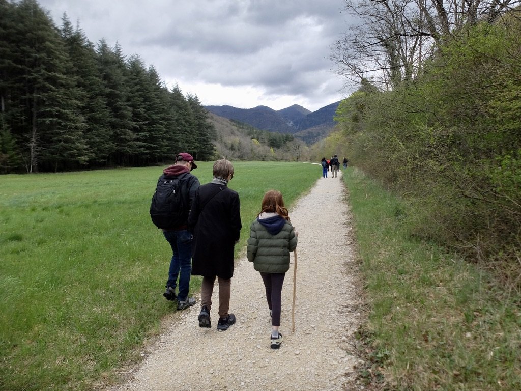 Forêt de Saou.