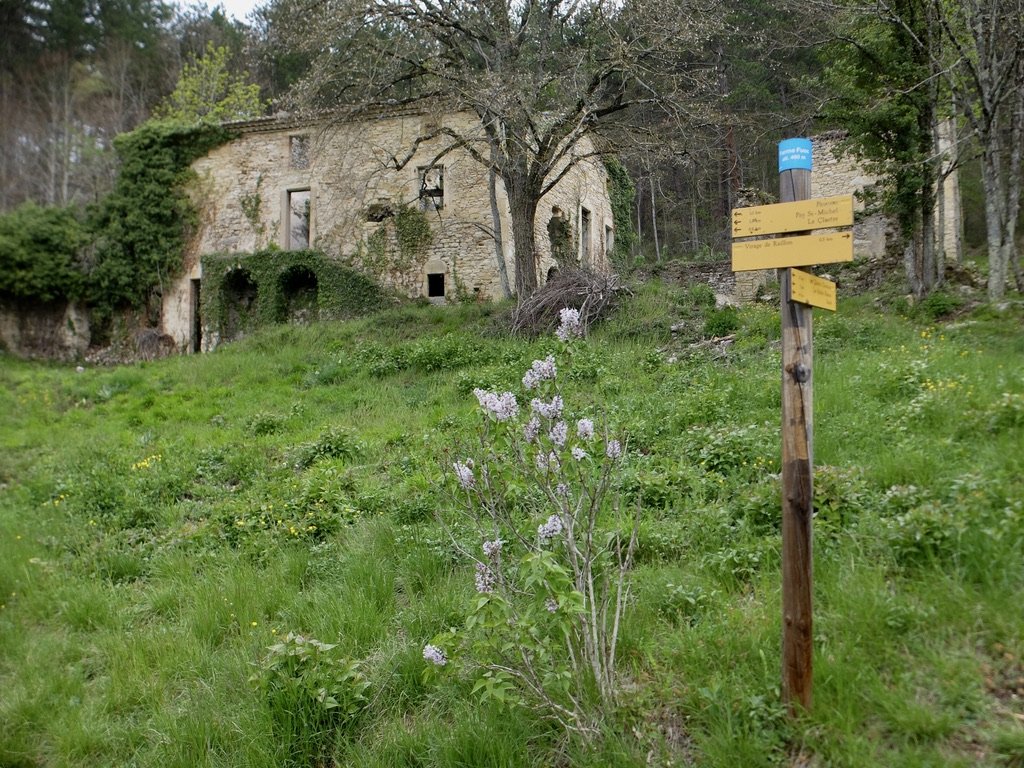 Hike in Le Forét de Saoû.